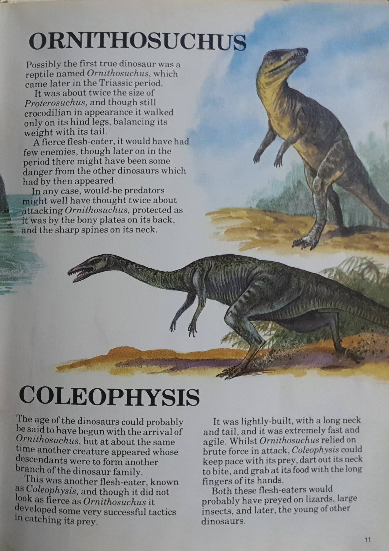 Let Me Tell You About Dinosaurs Hardcover ,1985