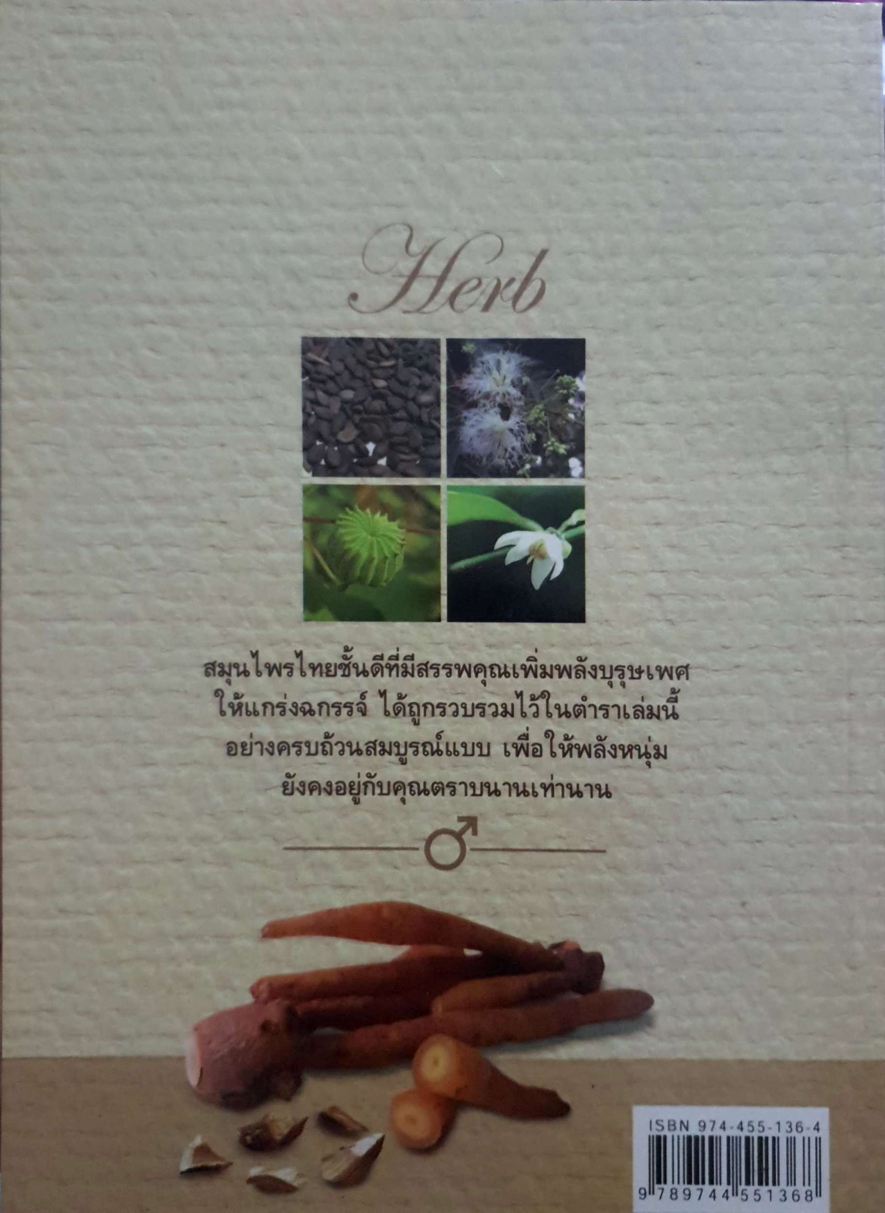 สมุนไพรเพิ่มพลังบุรุษ ภาณุทรรศน์