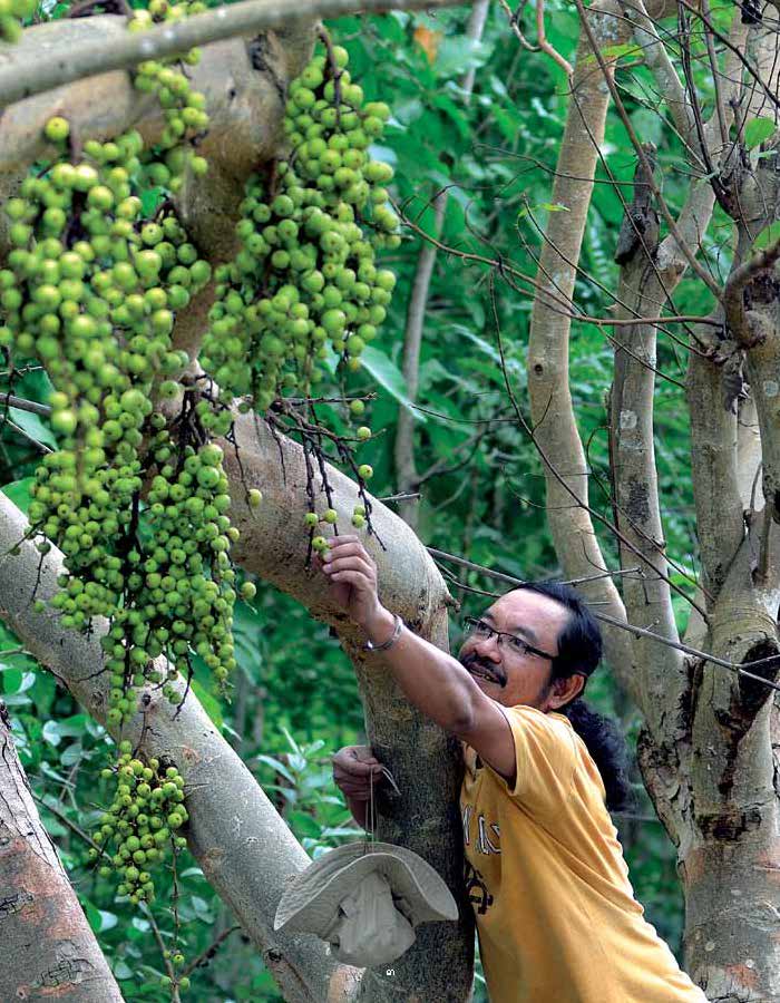 อร่อยริมรั้ว 100 สูตร ต้ม ยำ ทำ แกง (หนังสือคืนจากร้านค้า สภาพ 70% มีตำหนิ)