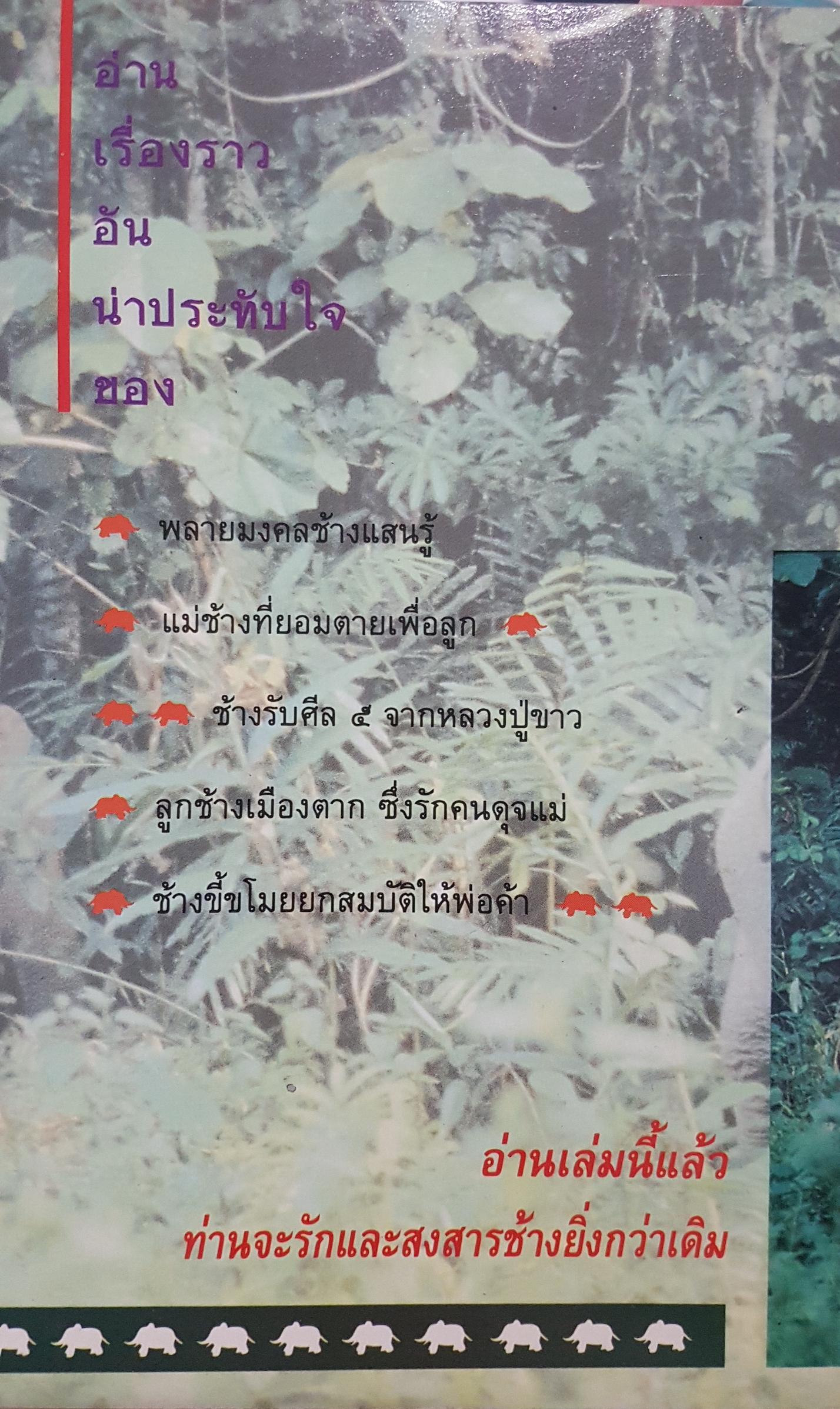 ช้างไทย ในความทรงจำ พระไพศาล วิสาโล บรรณาธิการ