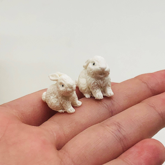 Miniature Duo Rabbit