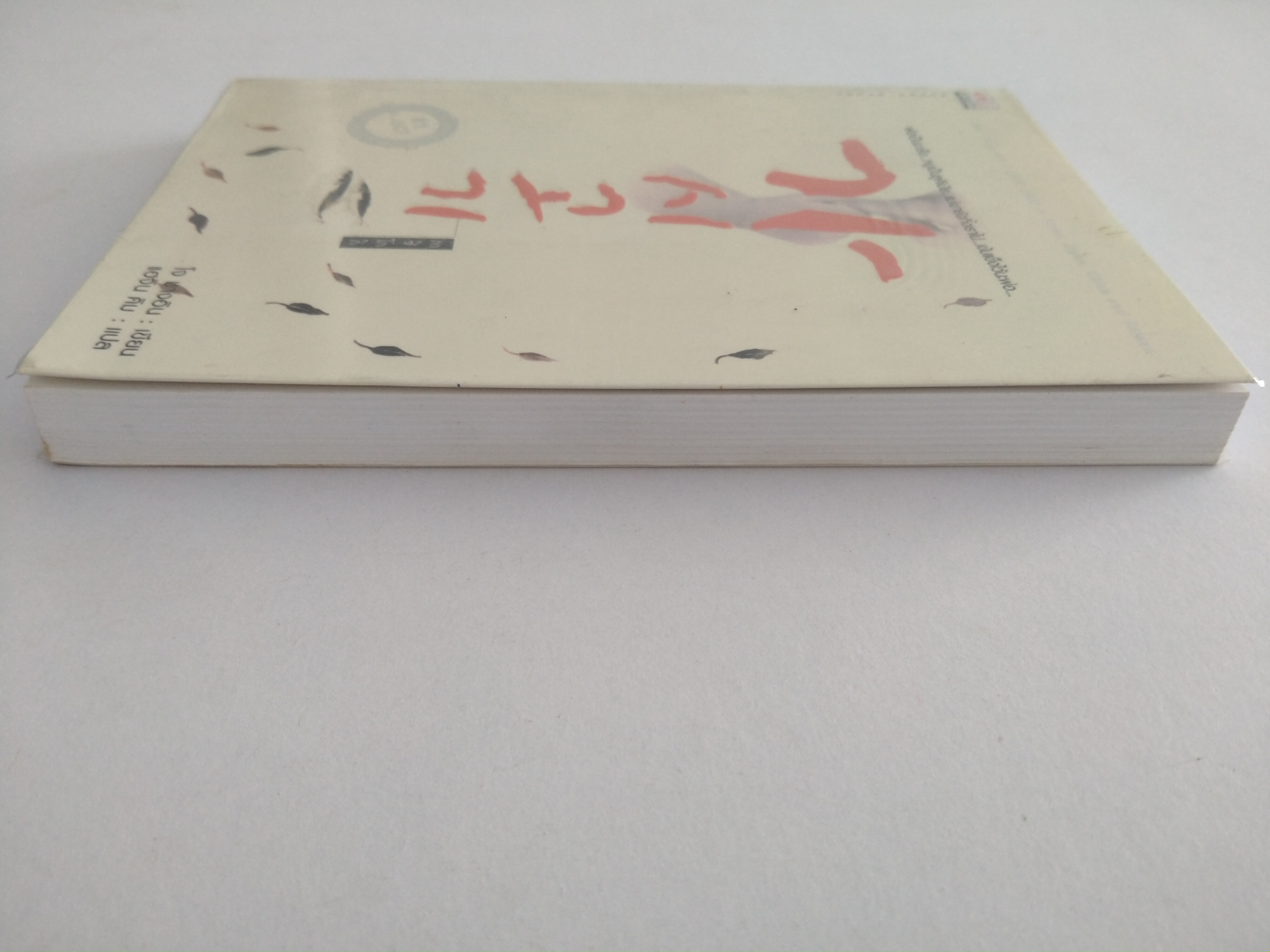 กาชิโกกิ