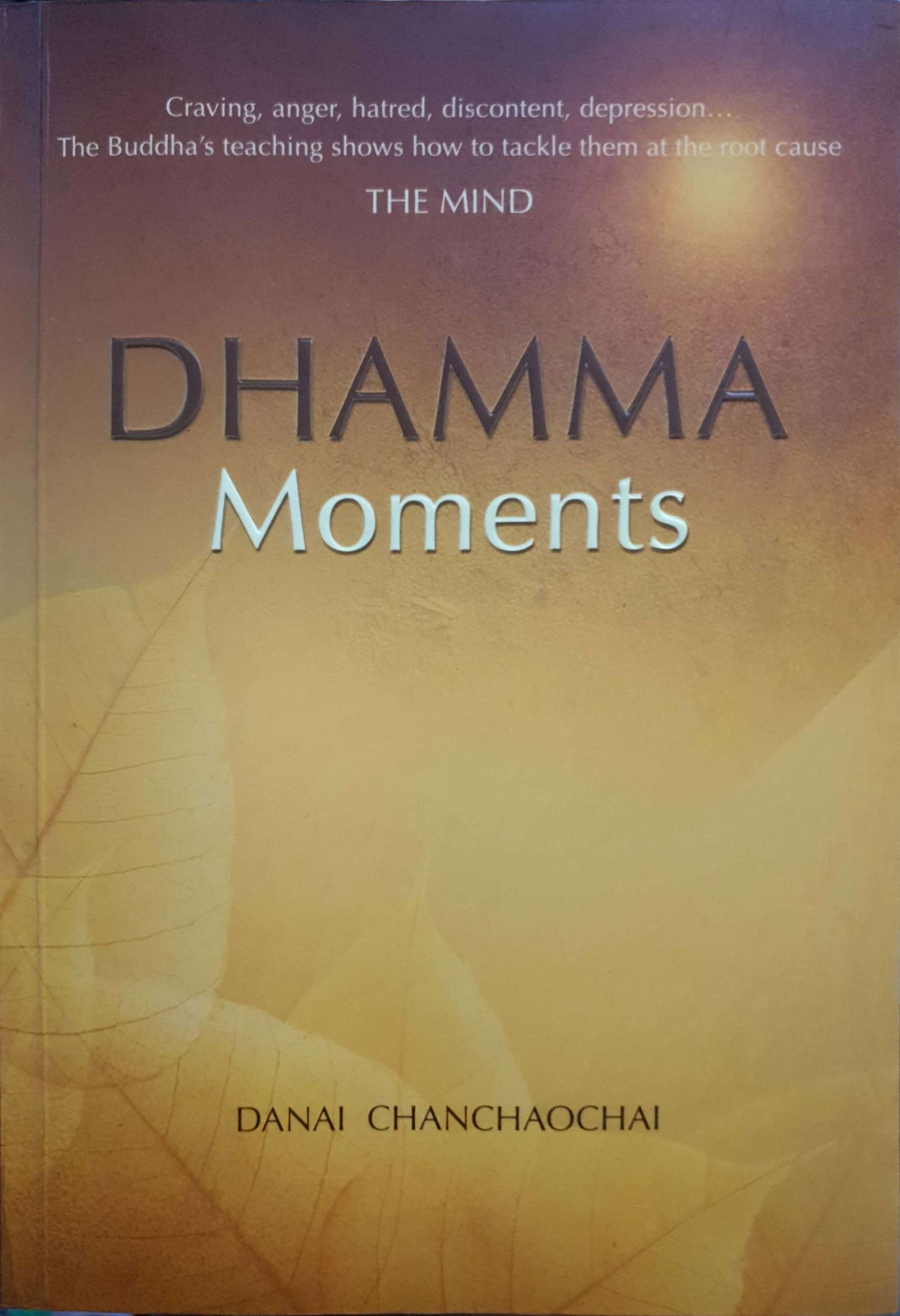 Dhamma Moments Danai Chanchaochai