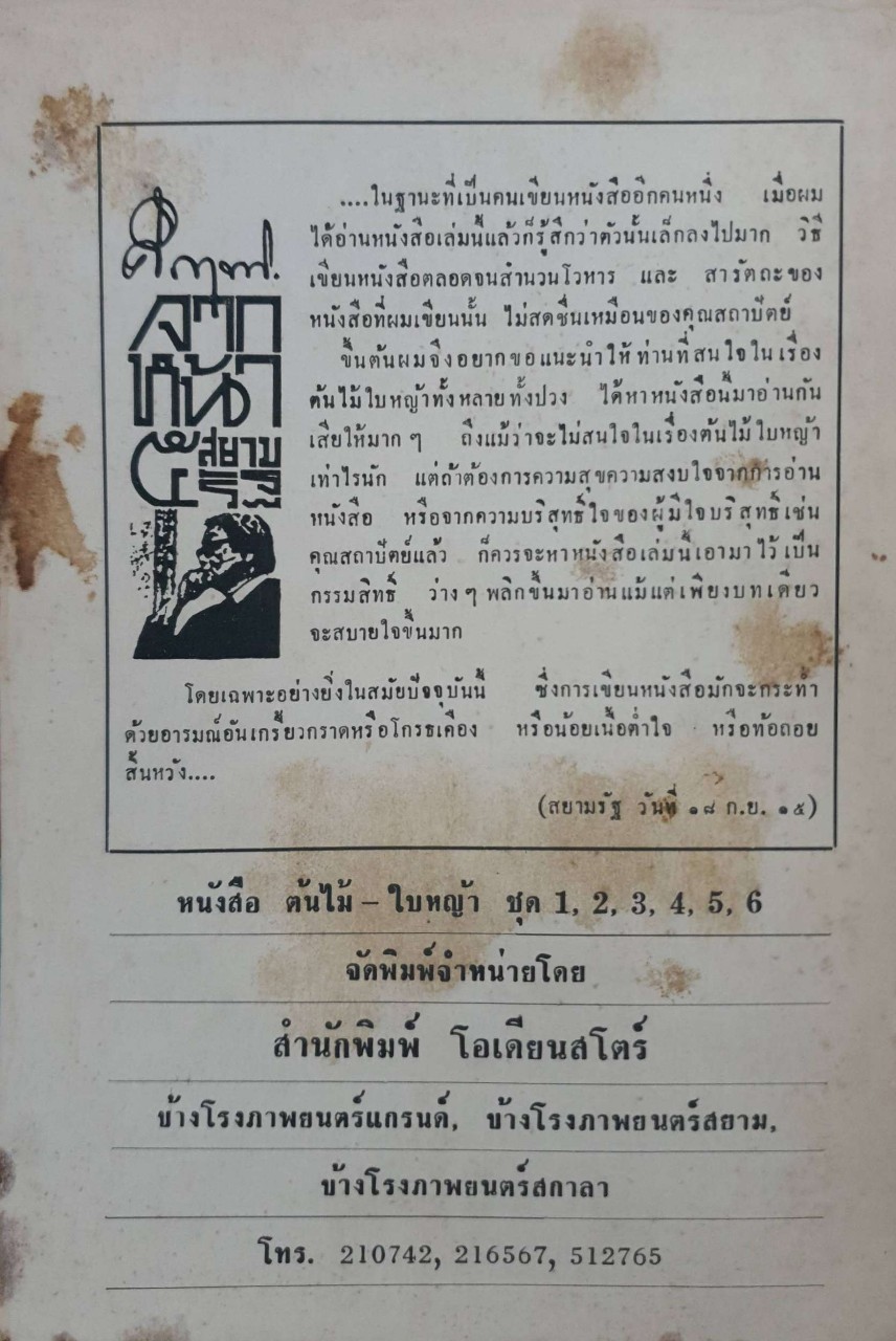 ต้นไม้-ใบหญ้า