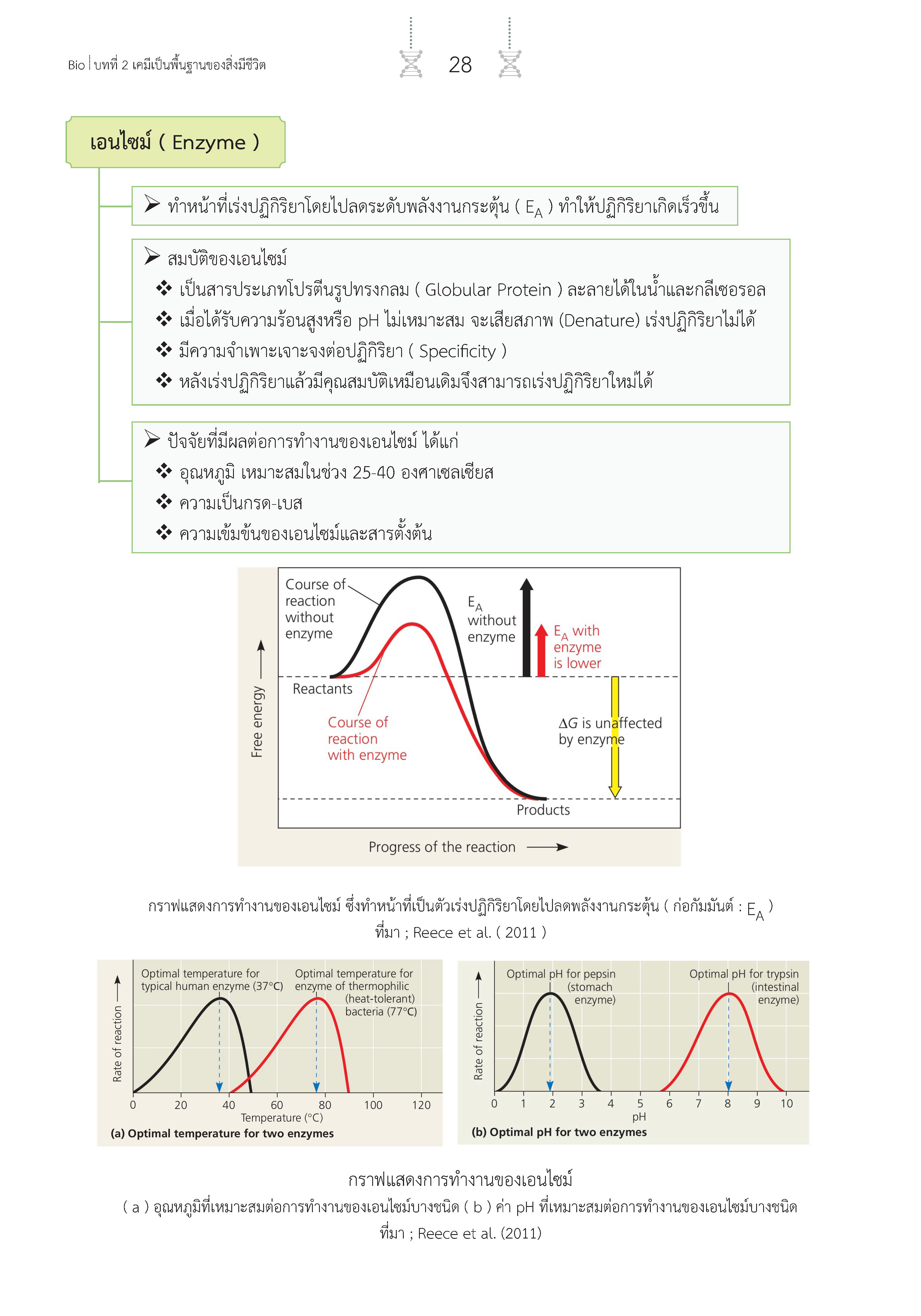 สรุปเข้ม ชีววิทยา เล่ม 1 (พิมพ์ 4 สี)