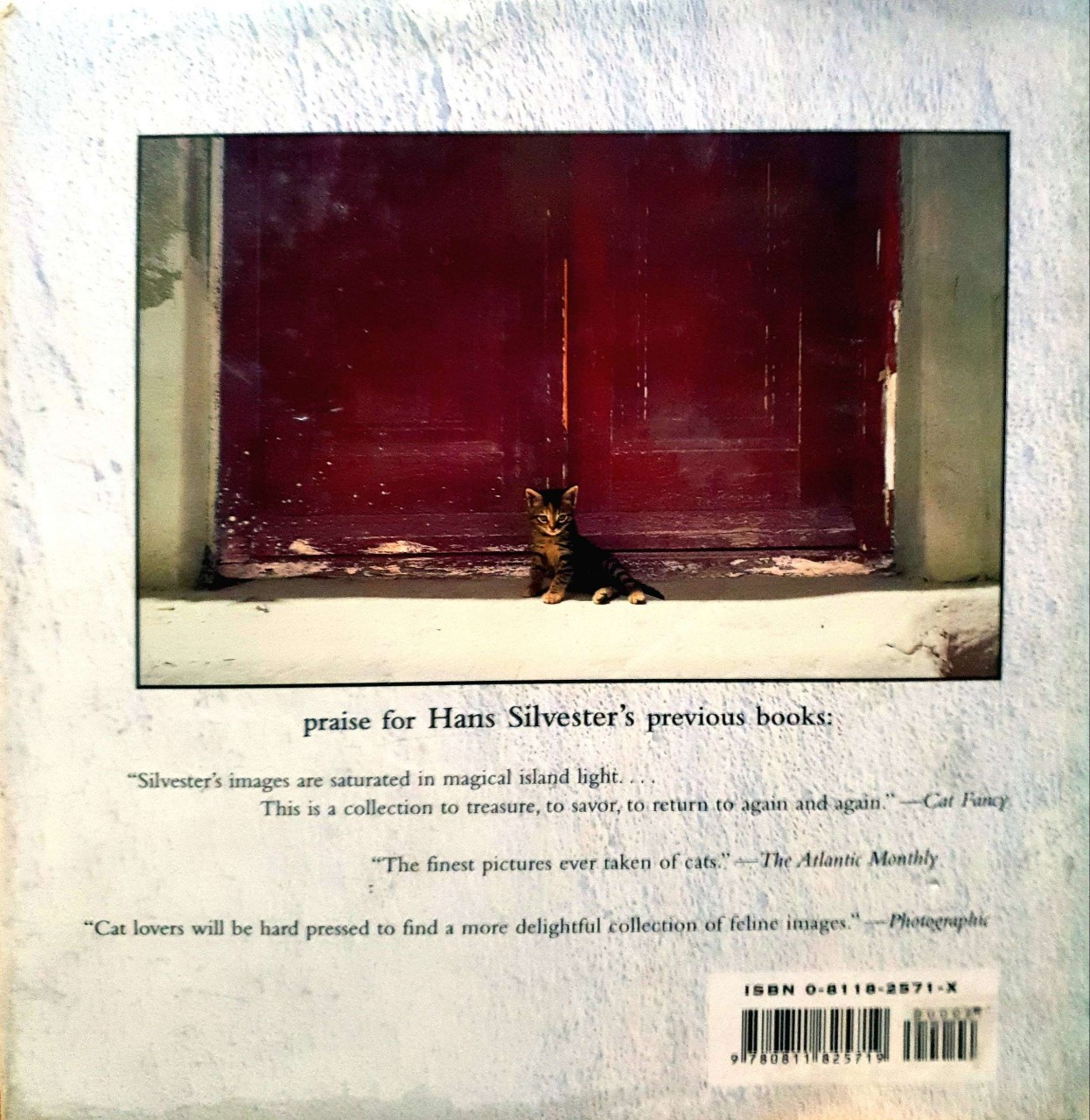 KITTENS IN THE SUN : Hans Silvester (Hardcover)