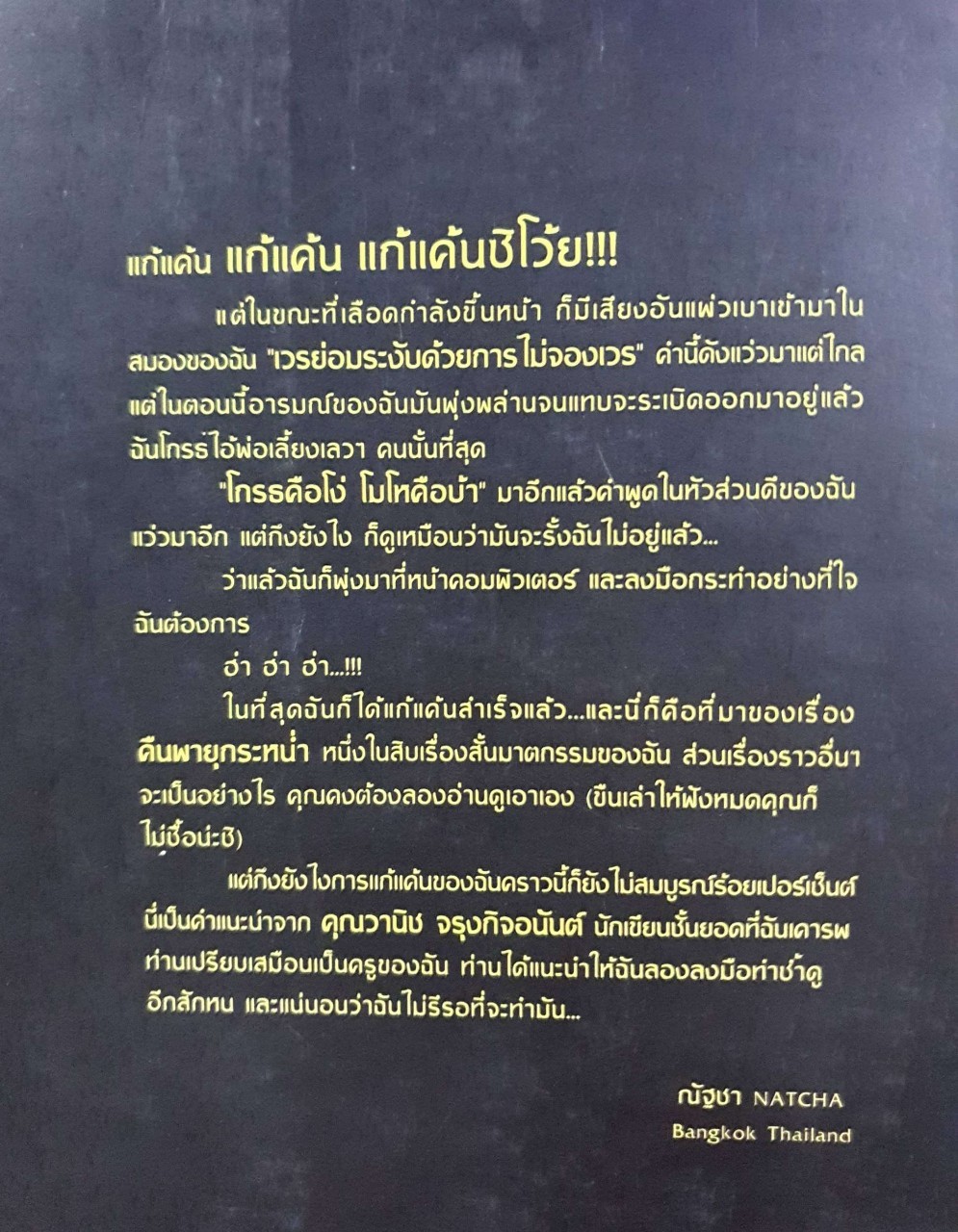 บังเอิญฆาตกรรม : ณัฏชา นฤกวิน