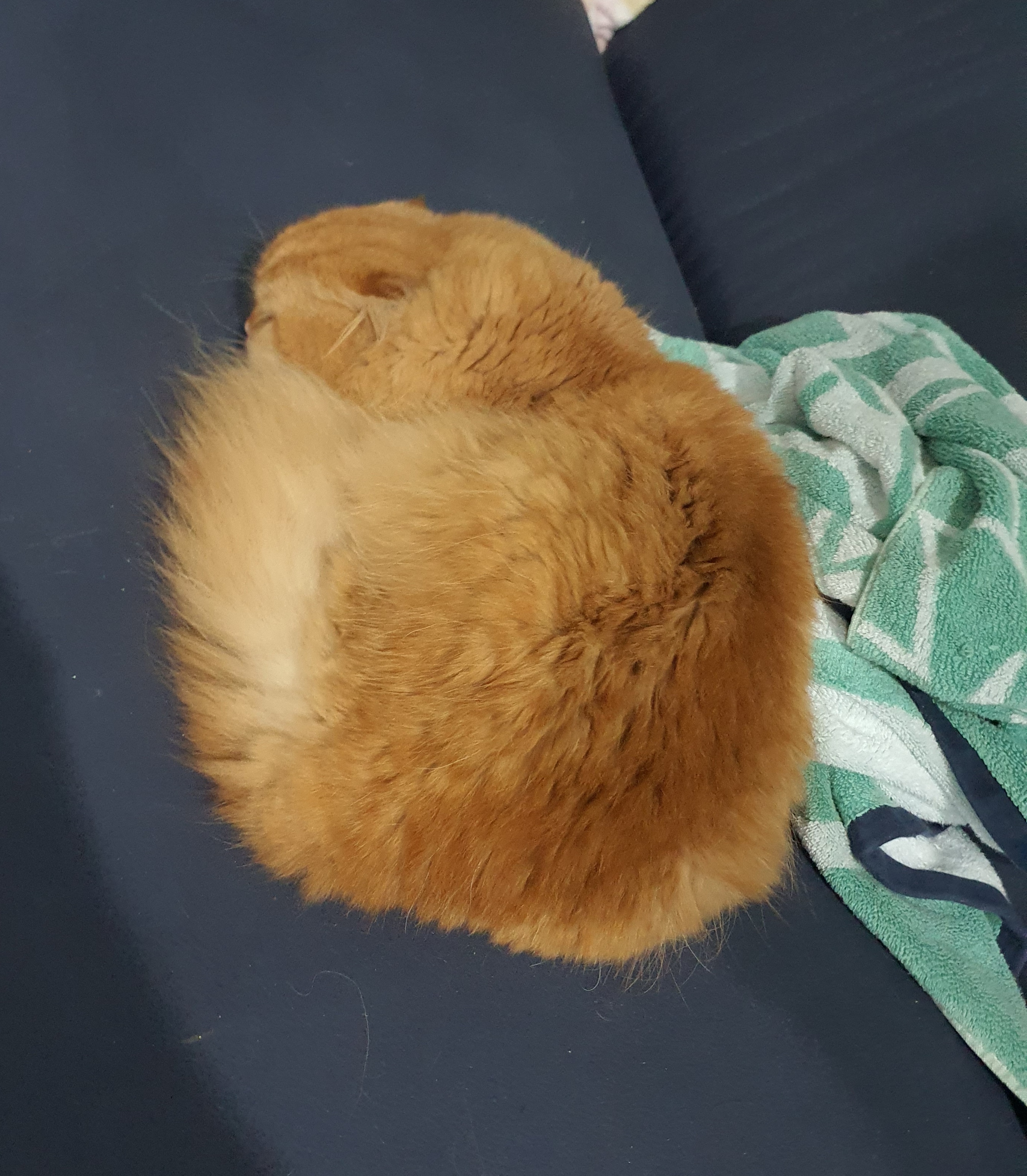 8 เคล็ดลับ CEO ระดับโลกสร้างแบรนด์ด้วยดีไซน์ ให้ได้ใจลูกค้า