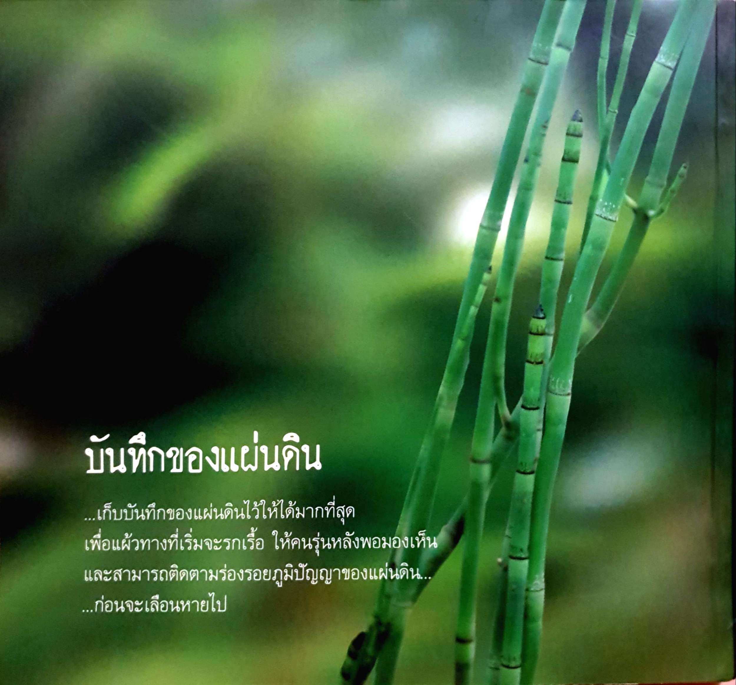 บันทึกของแผ่นดิน 1 หญ้า ยา สมุนไพรใกล้ตัว โดย ภญ.ดร สุภาภรณ์ ปิติพร