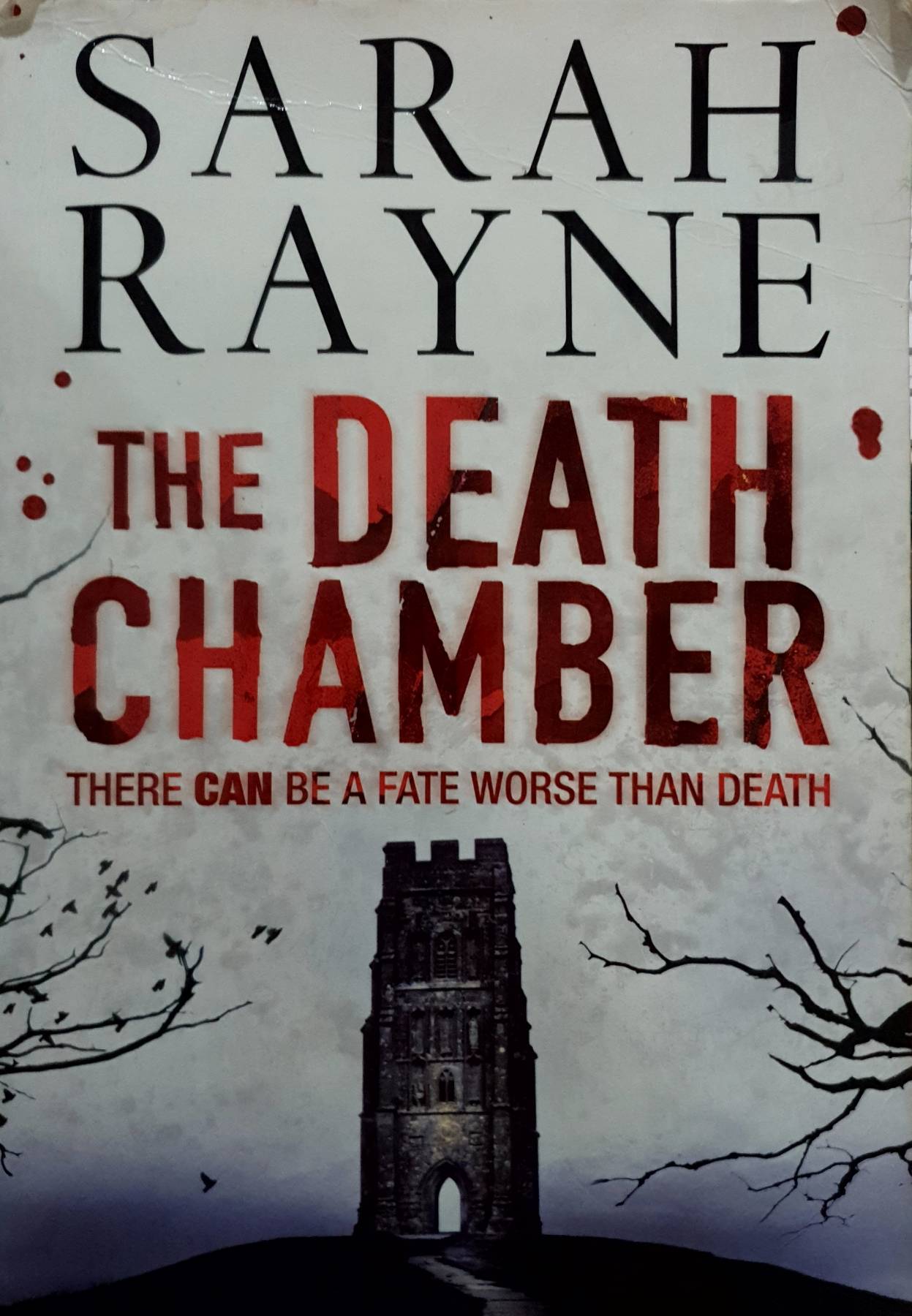 The Death Chamber: A brilliantly twisted psychological thriller : Sarah Rayne