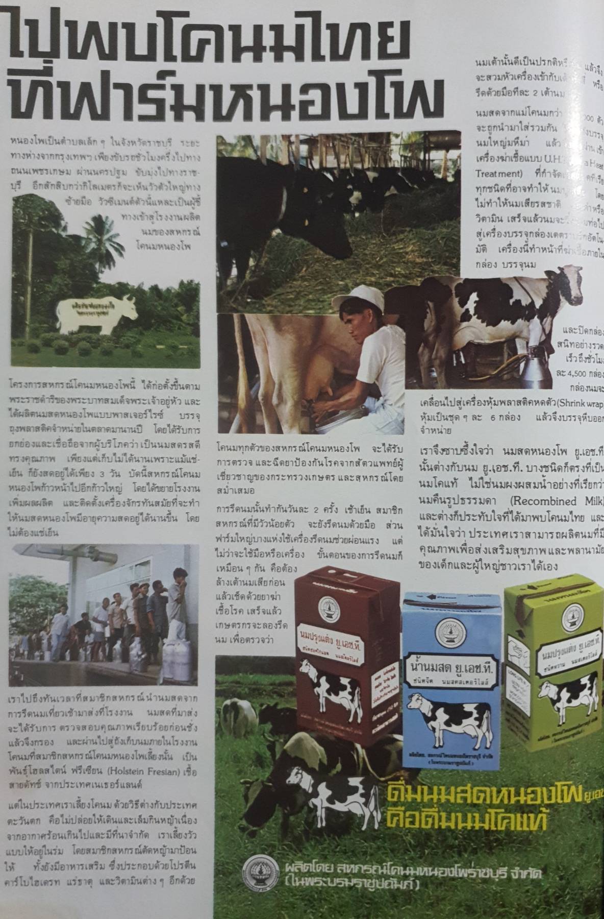 นิตยสาร แม่บ้าน ปีที่ 5 เล่มที่ 76 เมษายน ฉบับปี 2524