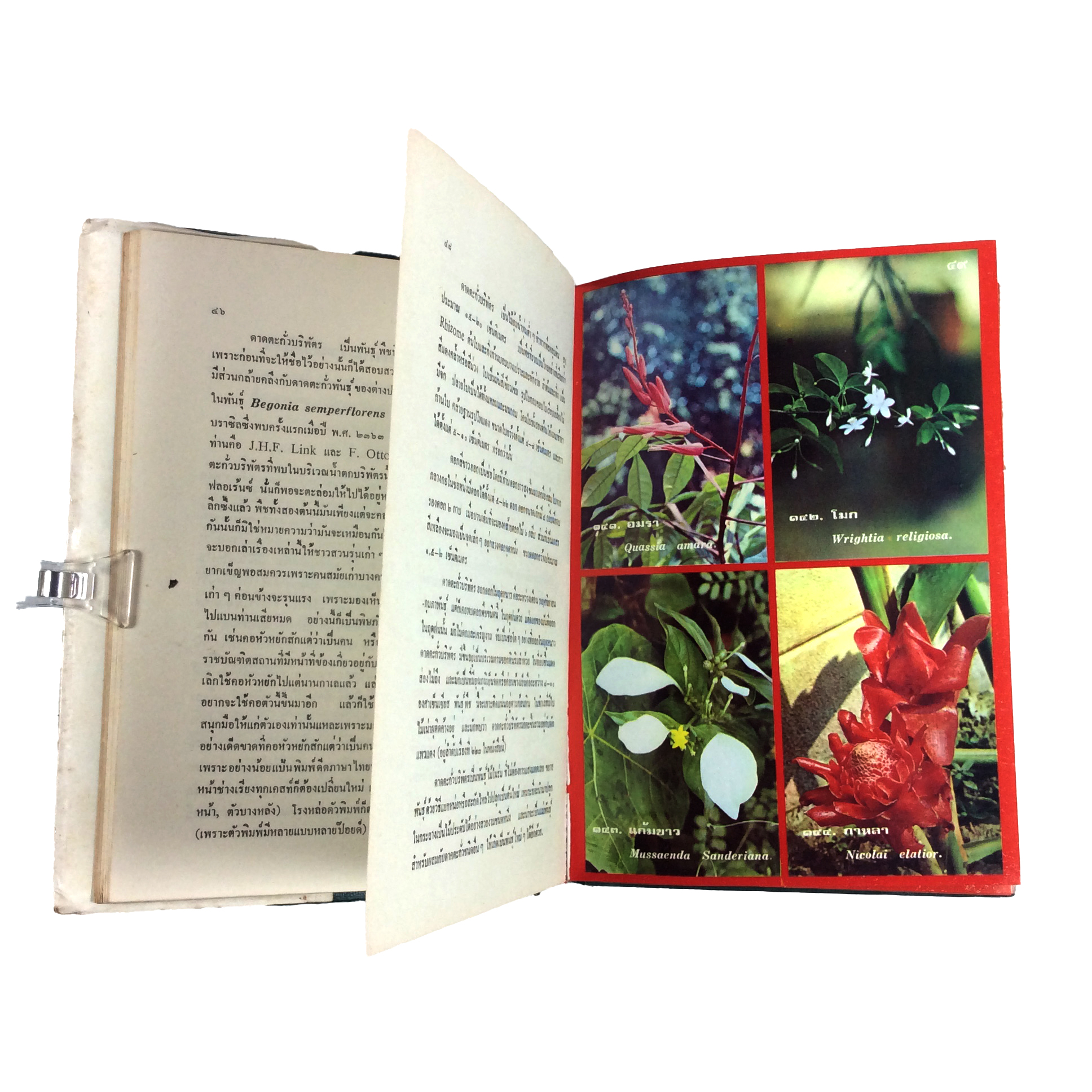 ดอกไม้เมืองไทย ชุดที่ ๒ พร้อมภาพสี 180 ภาพ ปกแข็ง หนังสือ ดอกไม้ ต้นไม้ พฤกษศาสตร์