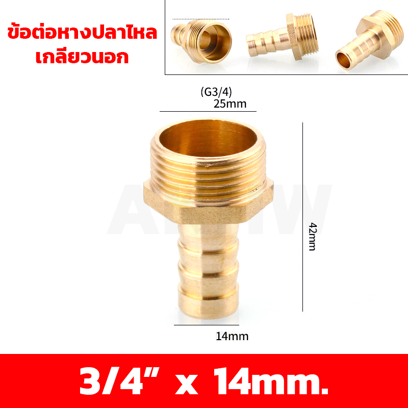 ข้อต่อหางปลาไหลเกลียวใน/เกลียวนอก ทองเหลือง KingsMan ขนาด 1/2นิ้ว 3/4นิ้ว [ขายปลีก/ส่ง]