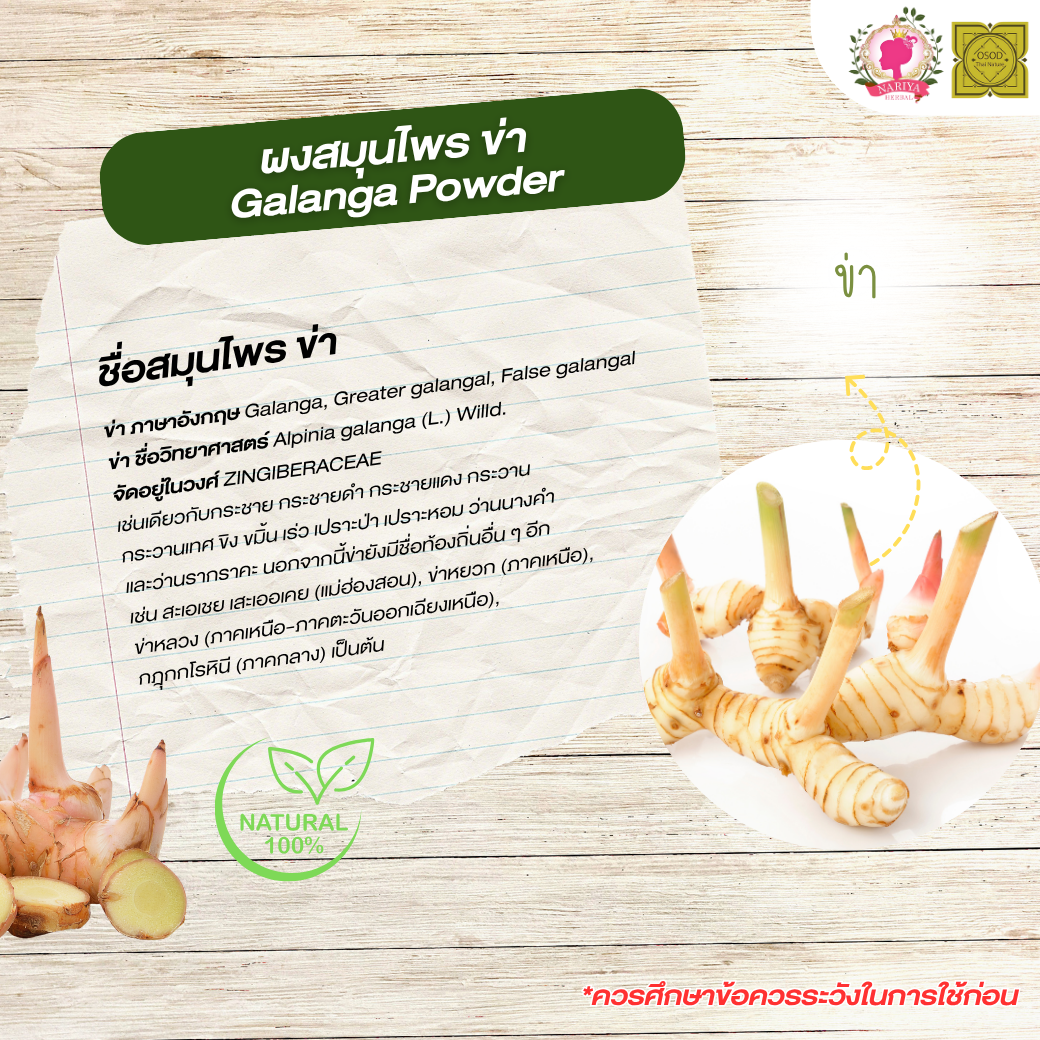 ผงข่า (Galanga Powder) ขนาด 500 1000 กรัม ข่า บดละเอียด สมุนไพร แท้100% FG-HBP-021