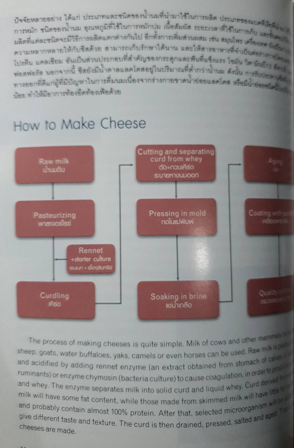 Cooking with CHEESE อาหารจานซีส