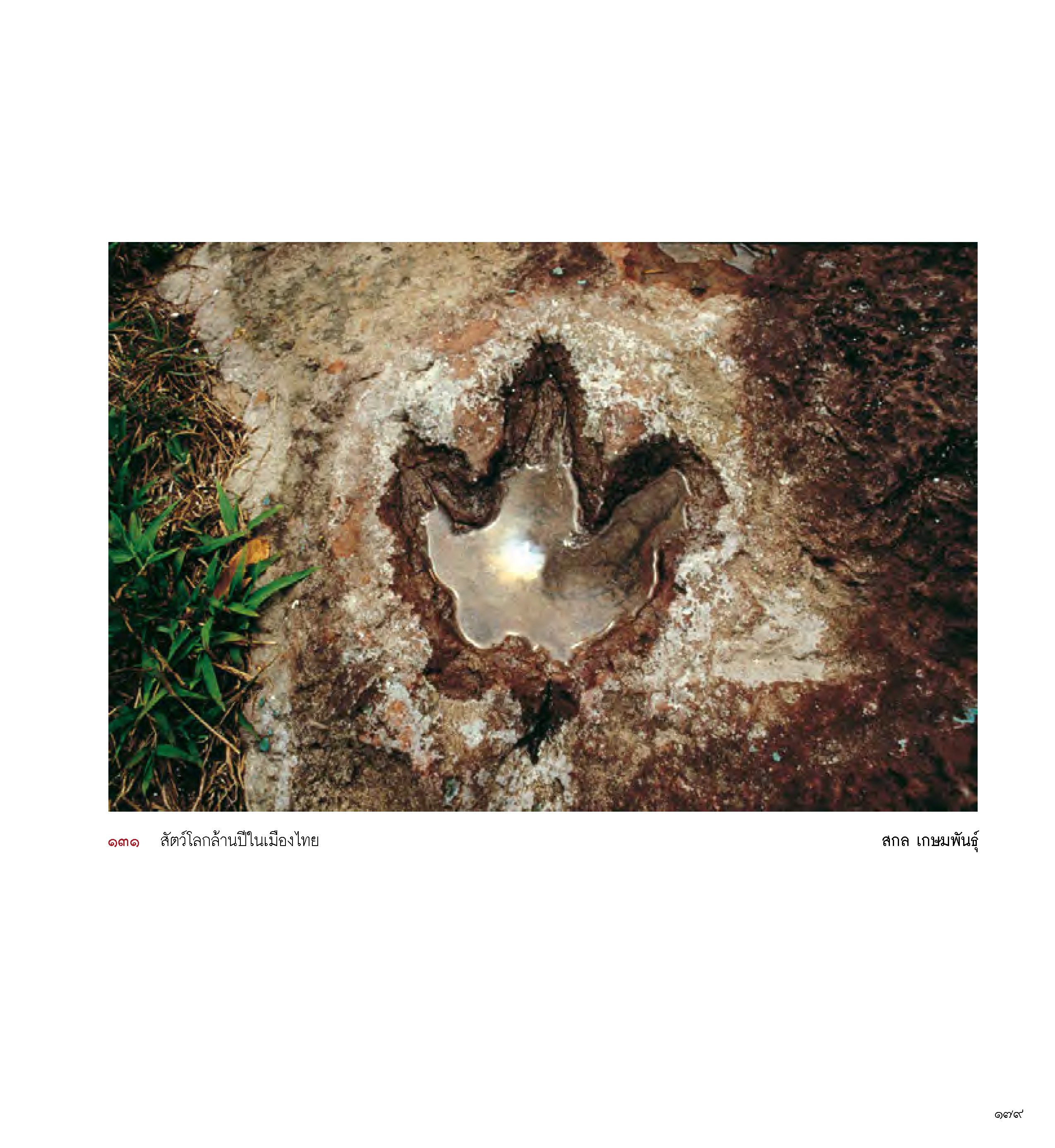 ภาพพูด บันทึกภาพถ่าย 25 ปี นิตยสารสารคดี (หนังสือคืนจากร้านค้า สภาพ 70% มีตำหนิ)