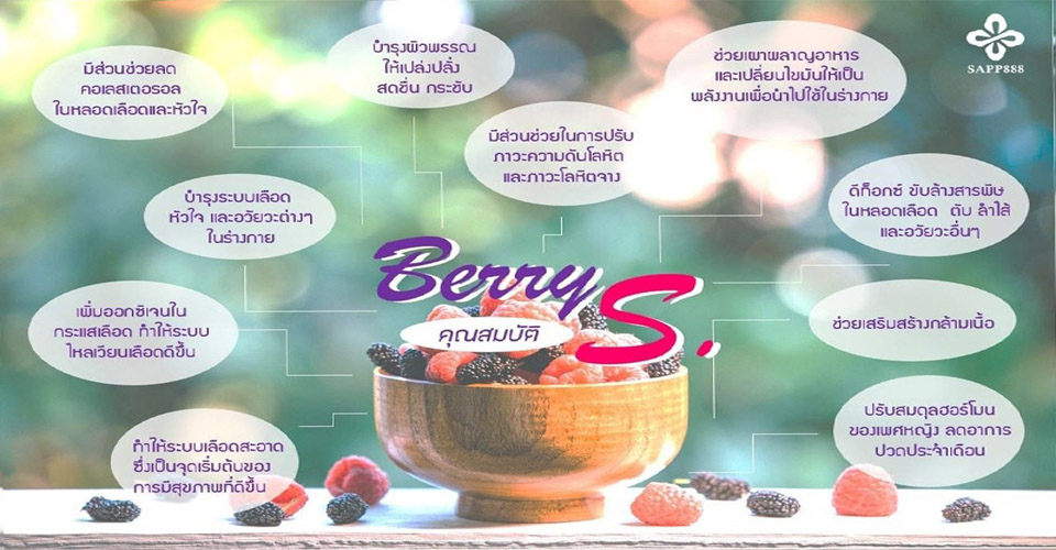 Jamille Berry S Detox,Detox ล้างสารพิษ,ล้างลำไส้,ล้างตับ,ช่วยระบบขับถ่าย,เบอรี่เอส,ดีท็อกล้างสารพิษ,ฟื้นฟูสุขภาพ,ดูอ่อนเยาว์