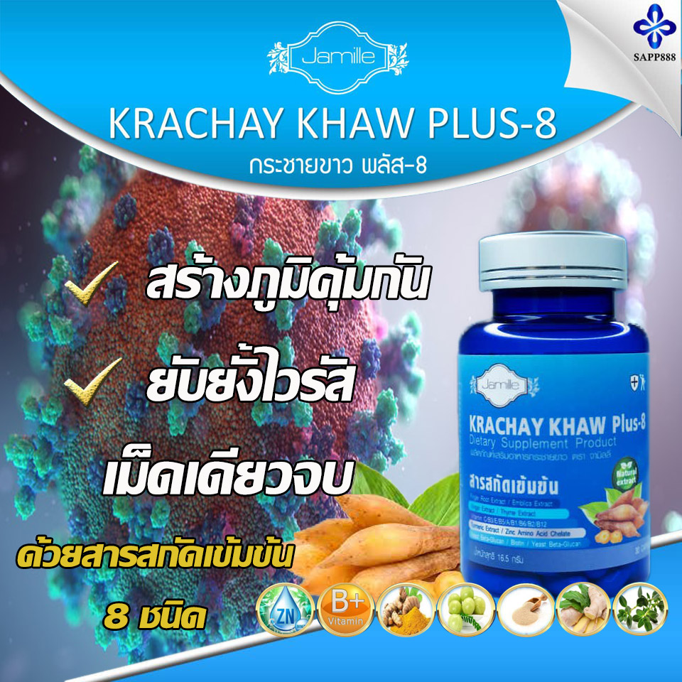 กระชายขาว,กระชายขาวพลัส8,กระชายขาว พลัส 8,กระชายขาว พลัส8,Krachay khaw plus 8,เสริมสร้างภูมิคุ้มกัน,ยับยั้งไวรัส,โตวิด19,covid19,sapp888 กระชายขาว,กระชายขาวพลัส8,กระชายขาว พลัส 8,กระชายขาว พลัส8,Krachay khaw plus 8,เสริมสร้างภูมิคุ้มกัน,ยับยั้งไวรัส,โตวิด19,covid19,sapp888