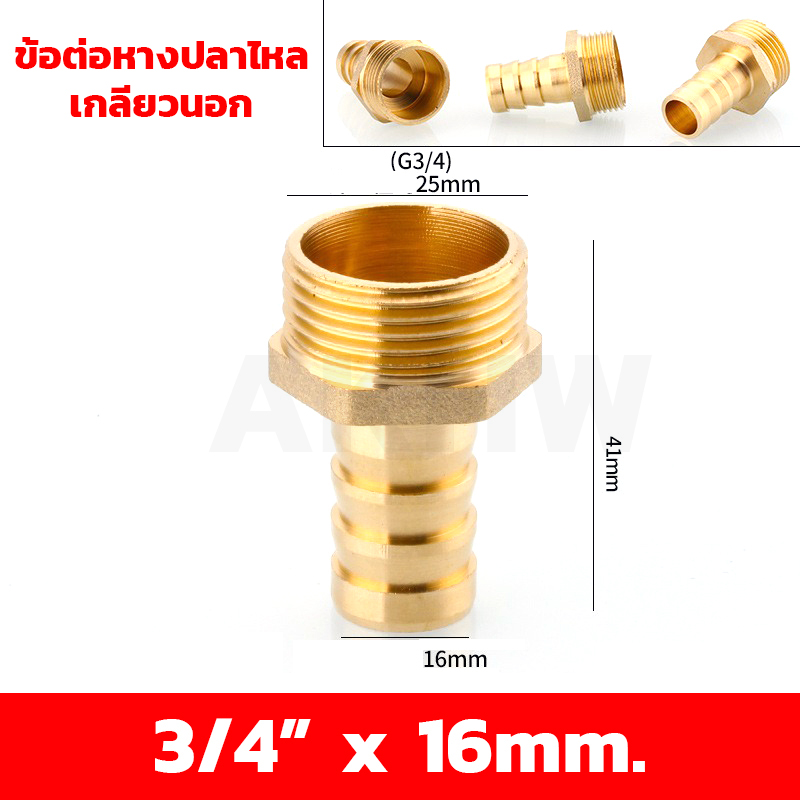 ข้อต่อหางปลาไหลเกลียวใน/เกลียวนอก ทองเหลือง KingsMan ขนาด 1/2นิ้ว 3/4นิ้ว [ขายปลีก/ส่ง]