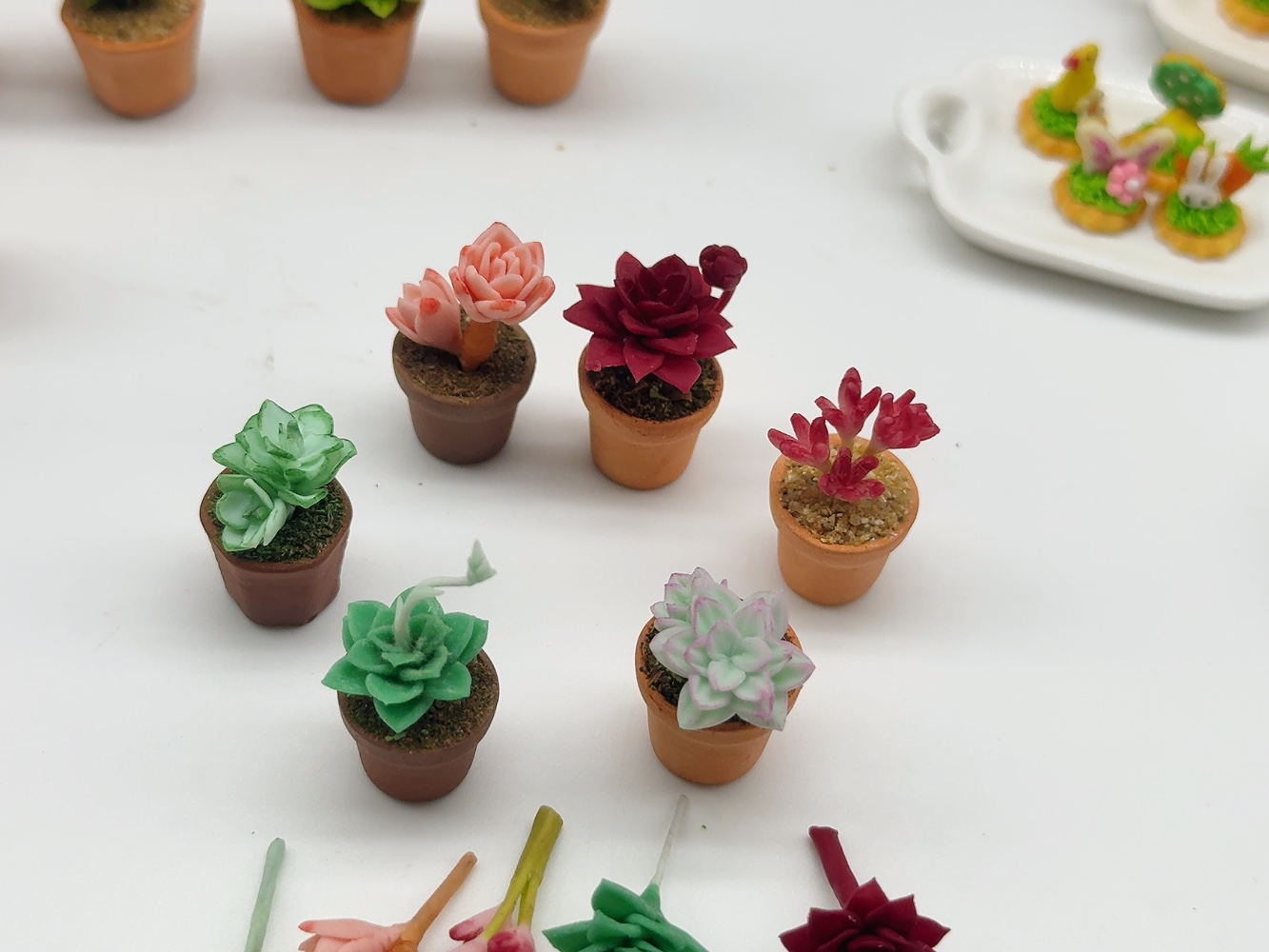 Miniature Cactus in pot 6 pieces