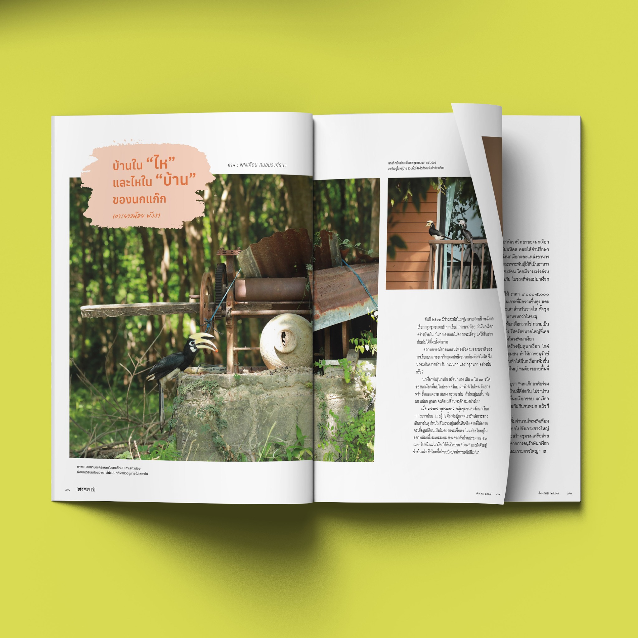 นิตยสารสารคดี ฉบับ 473 รักษ์นกนอกเขตอนุรักษ์