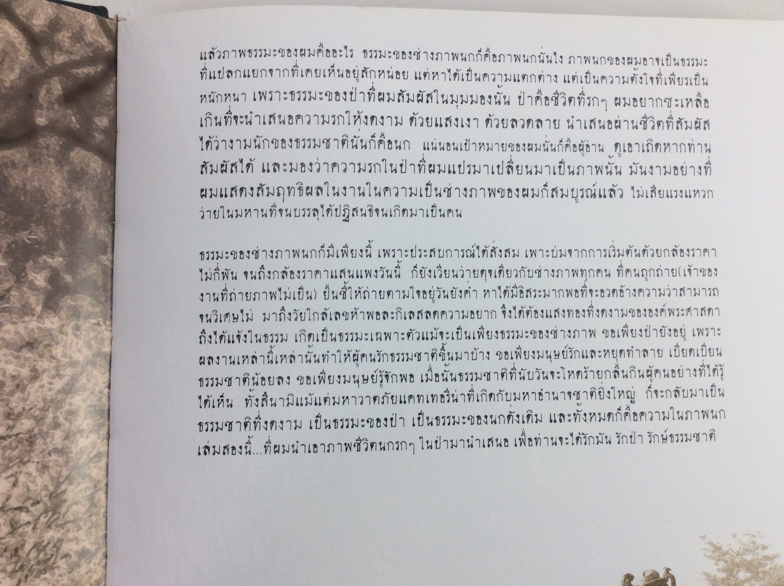 Birds ความในภาพนก เล่ม 2 ปกแข็ง หนังสือถ่ายภาพนก หนังสือ สารคดี