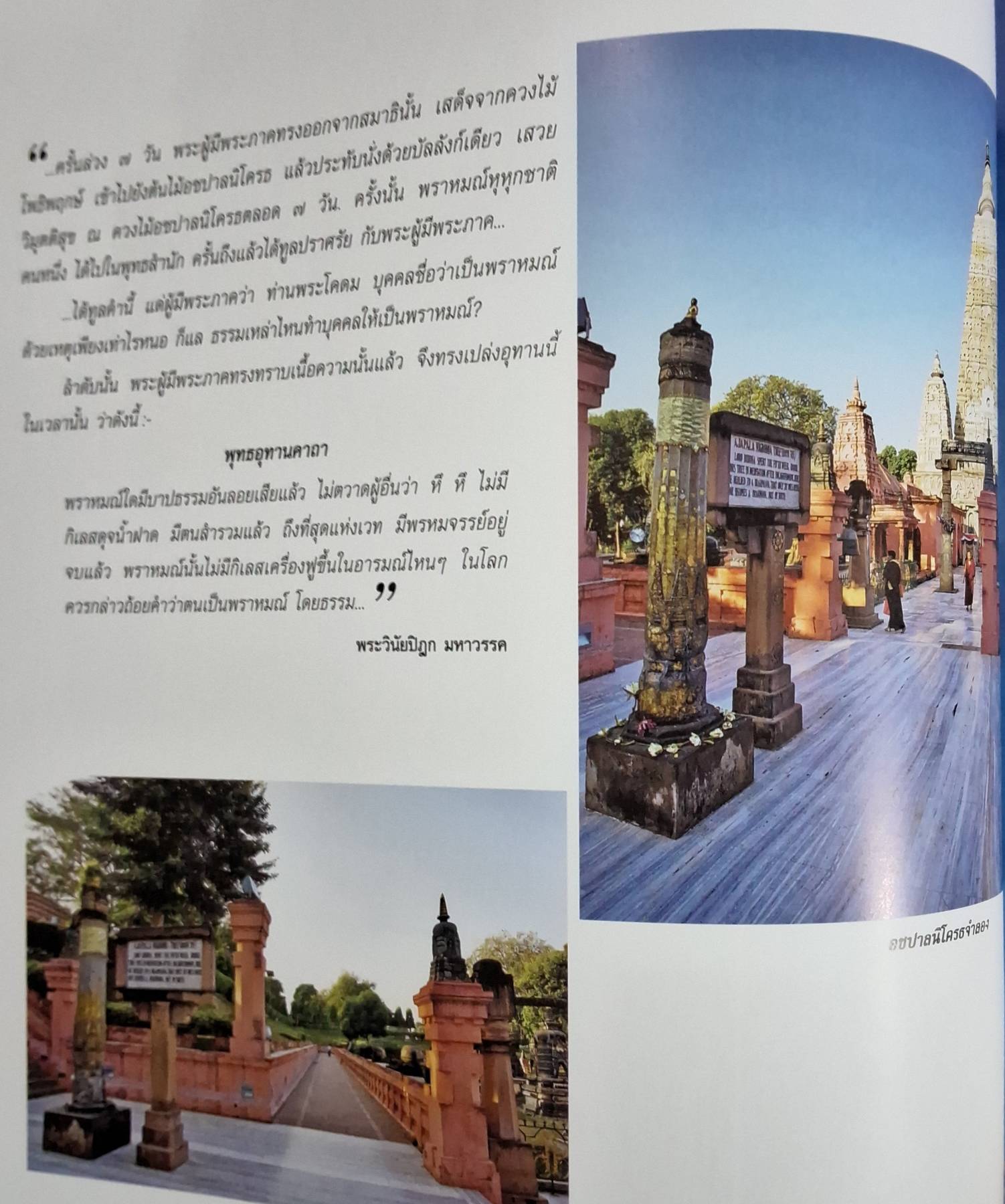 พุทธเจติยะ (ปกแข็ง)