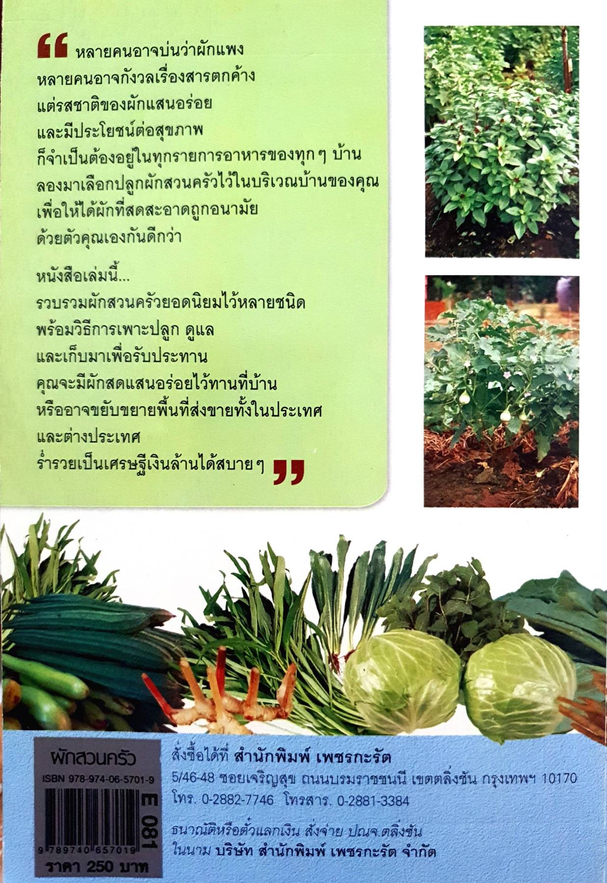 ผักสวนครัว หนังสือคู่มือการเกษตร เรื่อง ศรานนท์ เจริญสุข