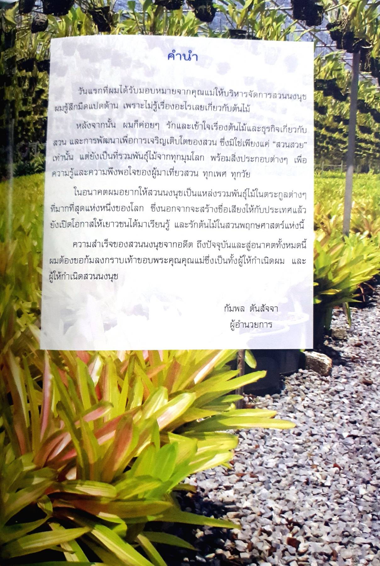 สวนพฤกษศาสตร์นงนุช พัทยา Nongnooch Pattaya. Tropical. Garden & Resort