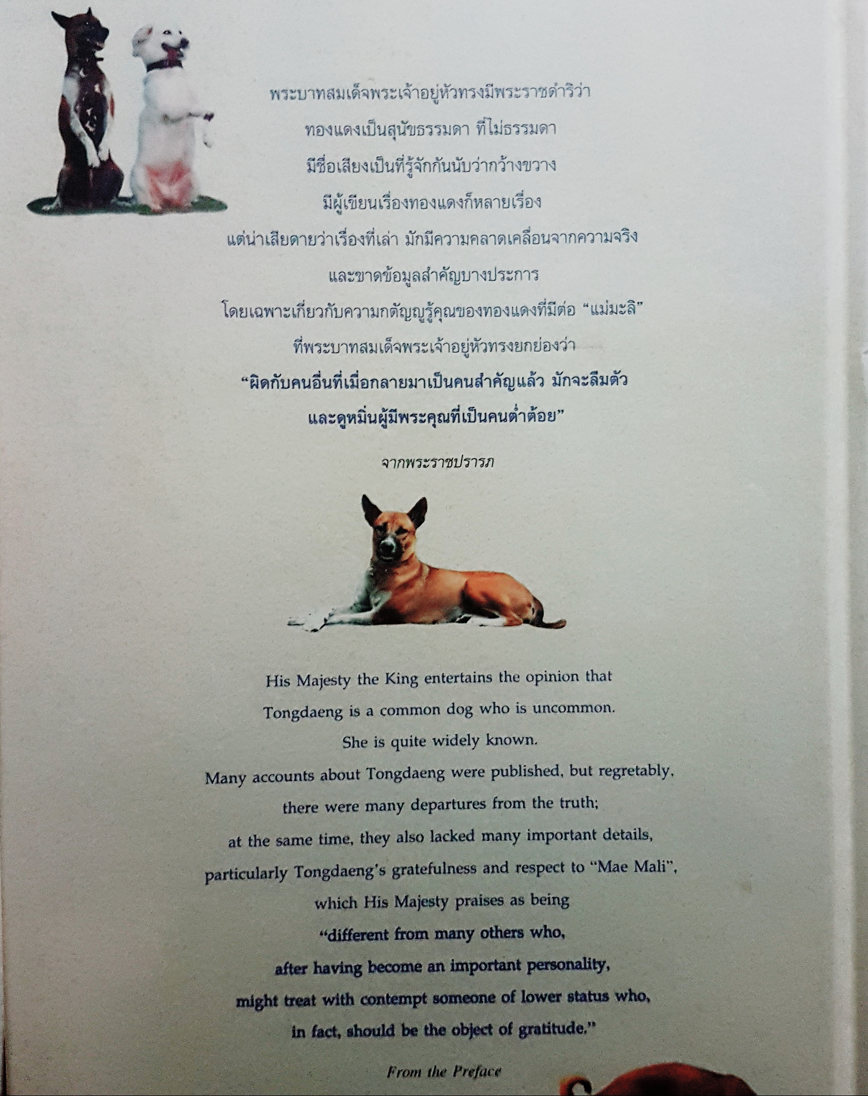 พระราชนิพนธ์พระบาทสมเด็จพระเจ้าอยู่หัวภูมิพลอดุลยเดช เรื่องทองแดง