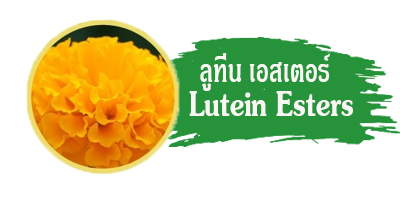 ลูทีน,Lutein,Luthina,ลูทิน่า,ดูแลสายตา,ระบบสายตา,โรคตา,ต้อลม,ต้อกระจก ลูทีน,Lutein,Luthina,ลูทิน่า,ดูแลสายตา,ระบบสายตา,โรคตา,ต้อลม,ต้อกระจก