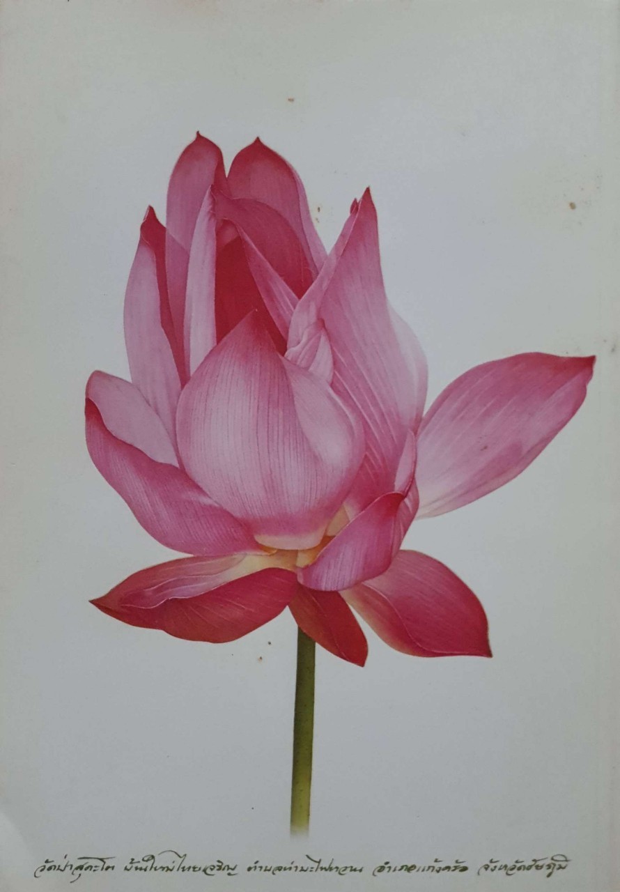 บทสวดมนต์และคำแปล