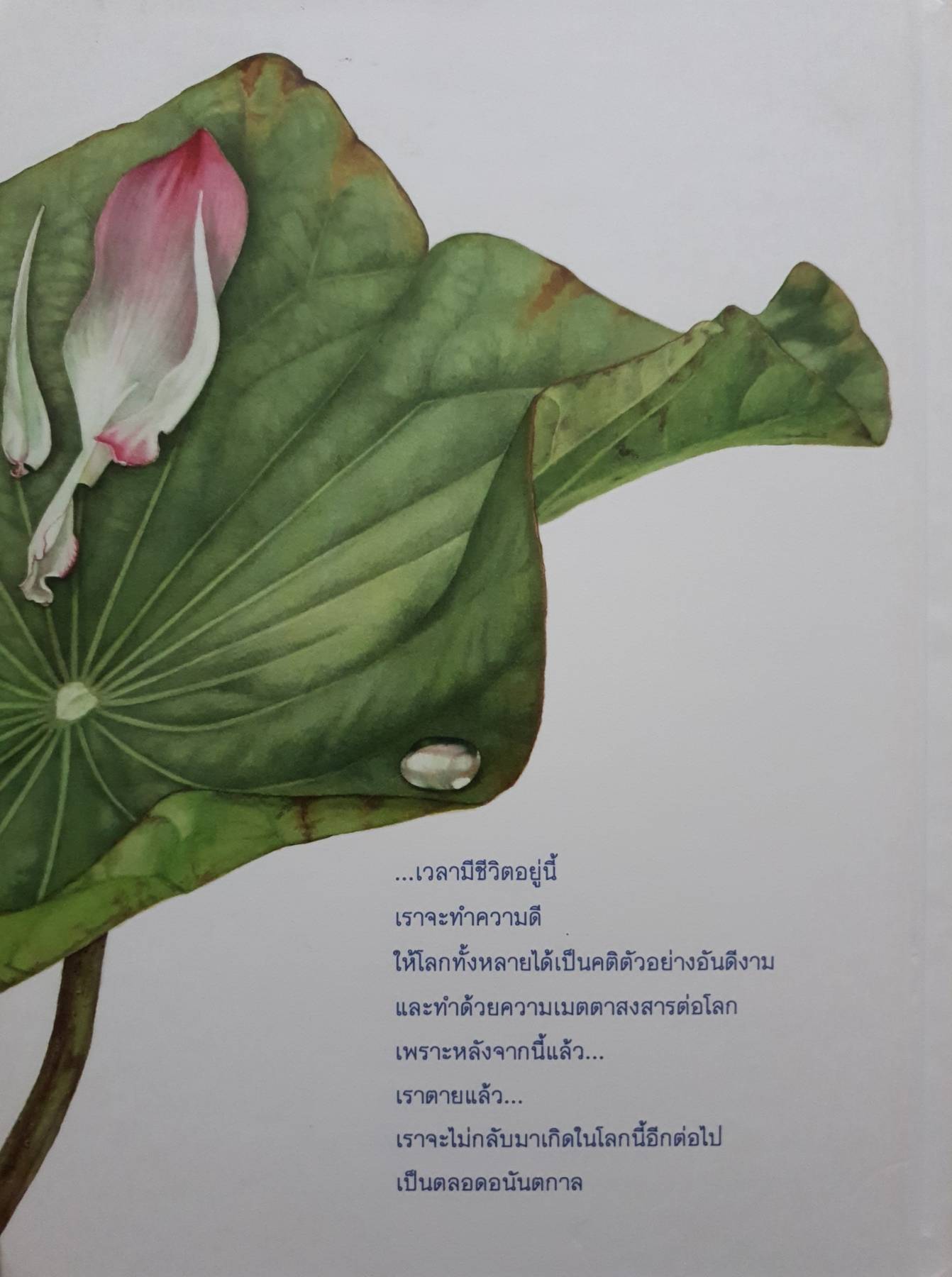 หยดน้ำบนใบบัว (ปกแข็ง) เป็นหนังสือที่บอกเล่า คติธรรมและชีวประวัติของ "หลวงตามหาบัว ญาณสัมปันโน" (พระราชญาณวิสุทธิโสภณ)