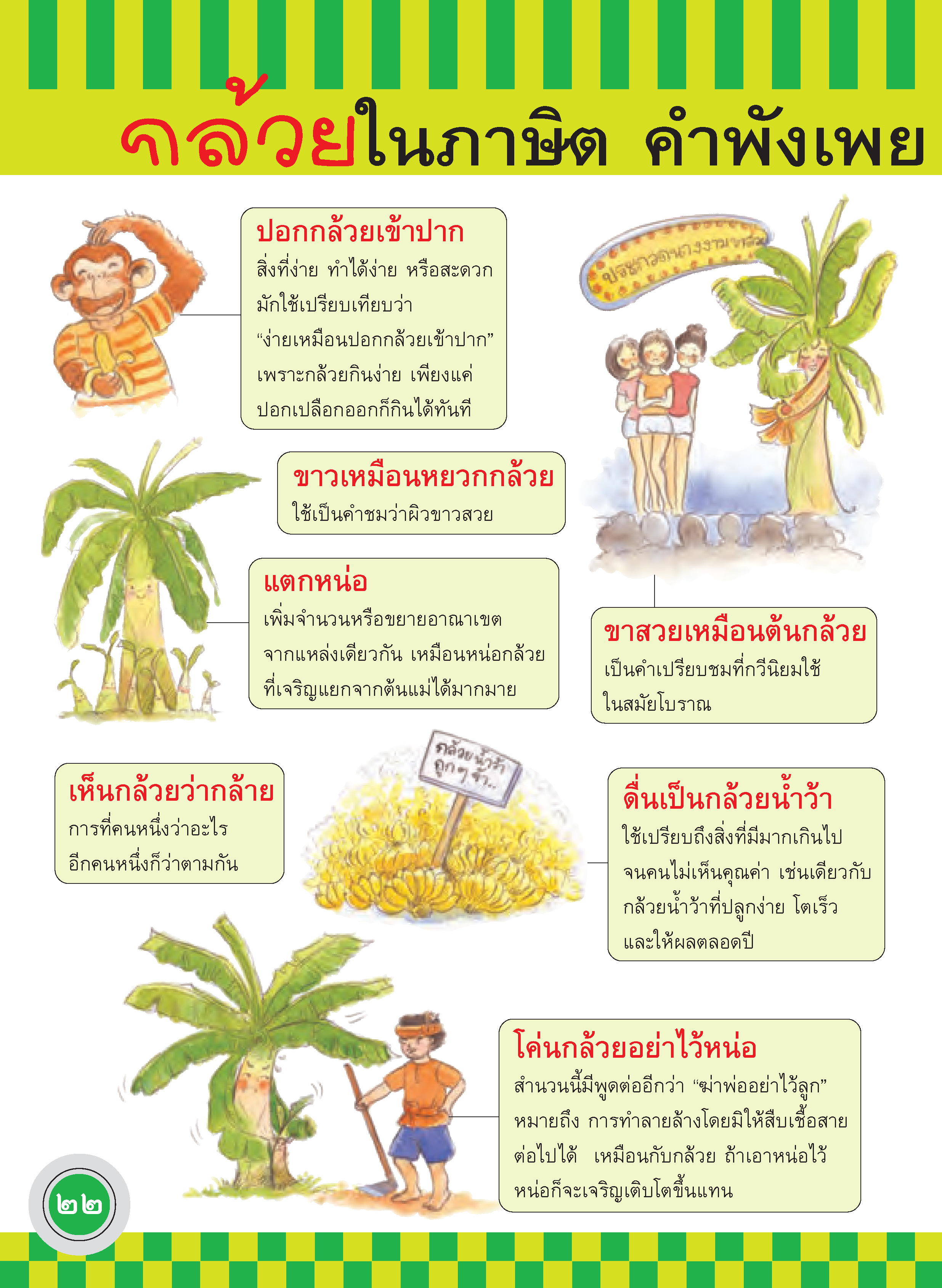 ภูมิใจไทย-กล้วยไทย(อาเซียน)