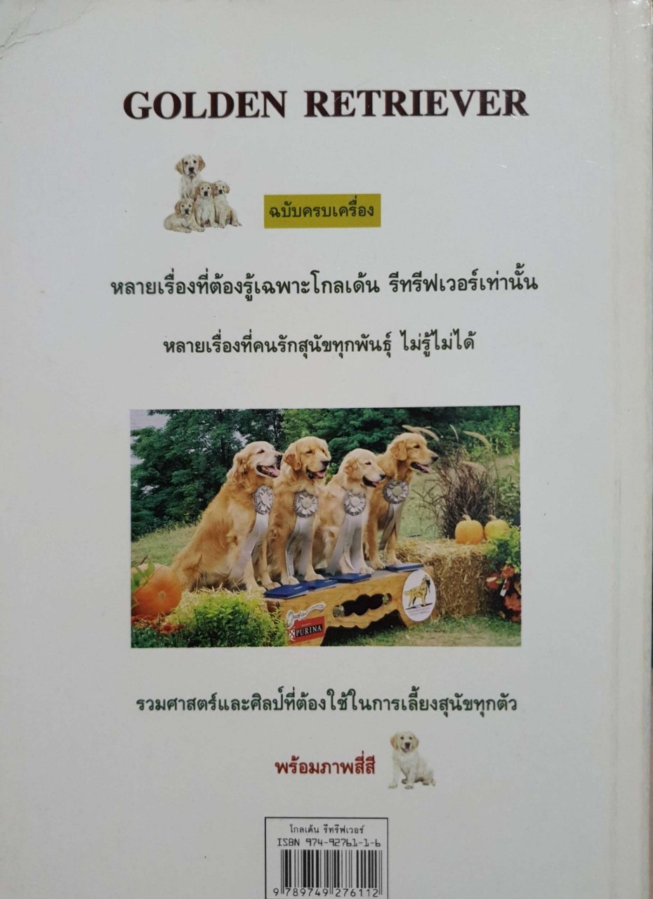 โกลด์เด้นรีทรีฟเวอร์ : เหมพันธ์ เหมวรนันท์