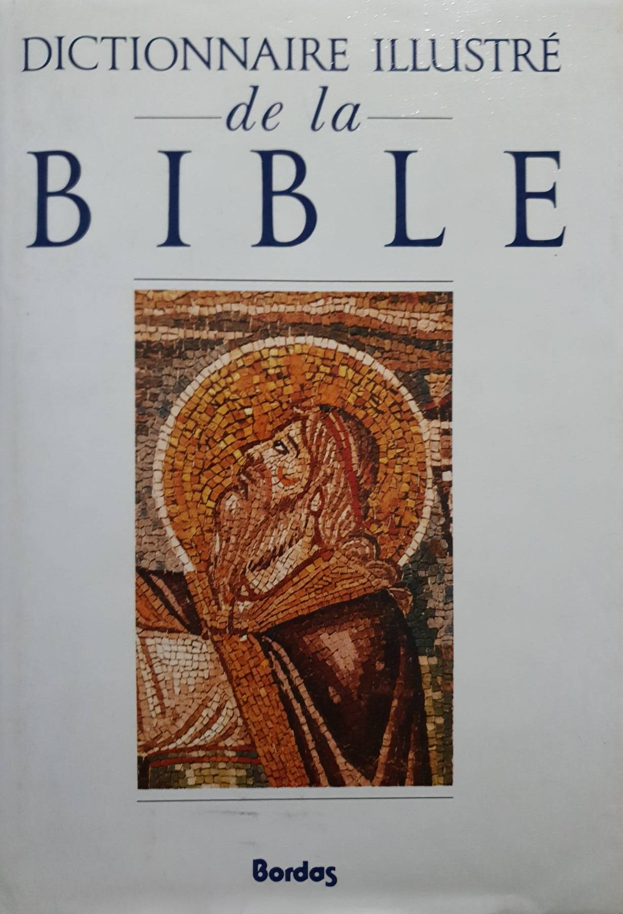 DICTIONNAIRE ILLUSTRÉ DE LA BIBLE (French Edition) Hardcover
