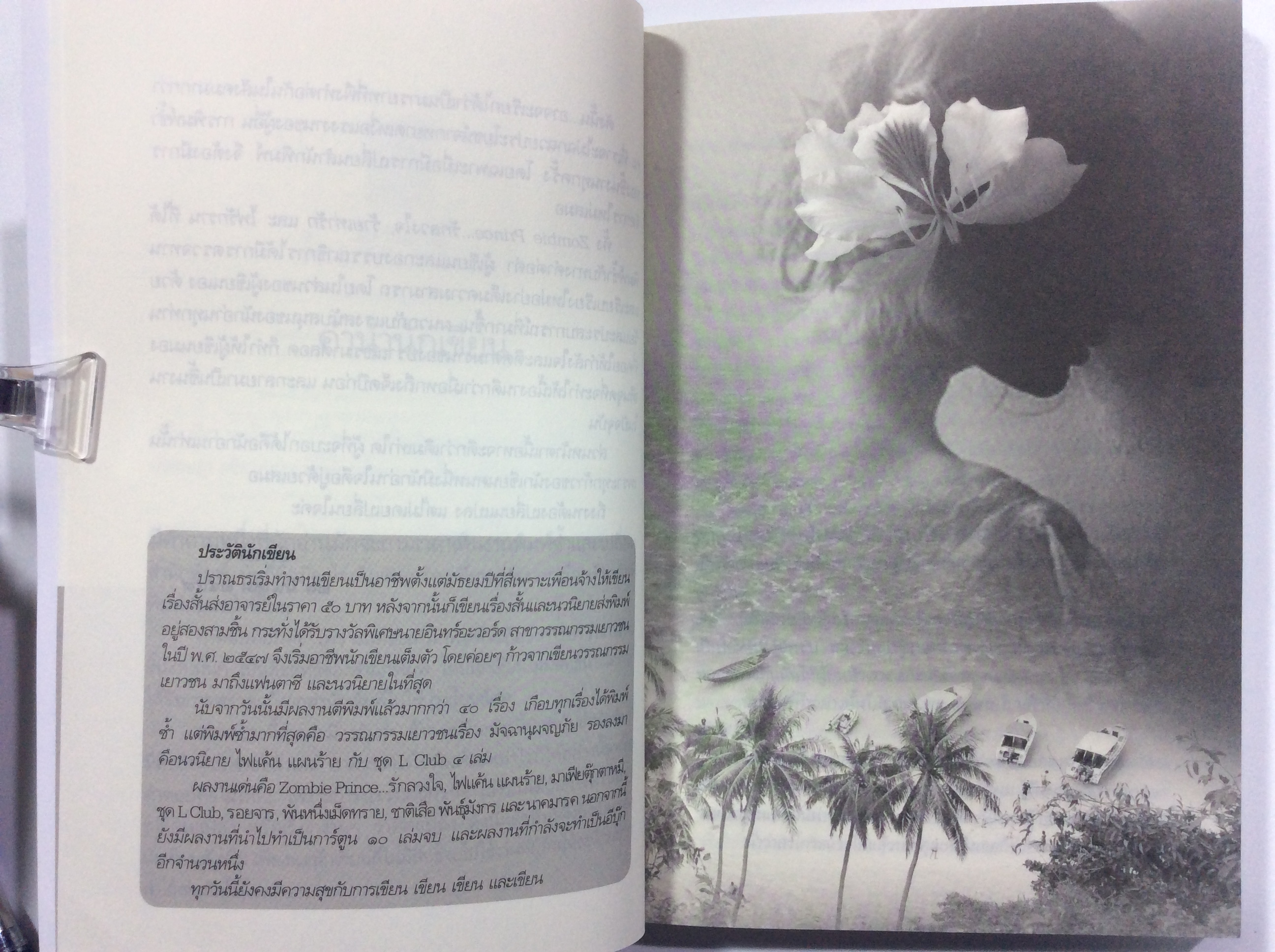 ไฟรักราน นิยาย นิยายโรแมนติก หนังสือ