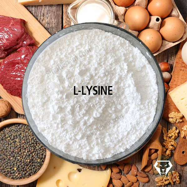 แอล-ไลซีน (L-Lysine)
