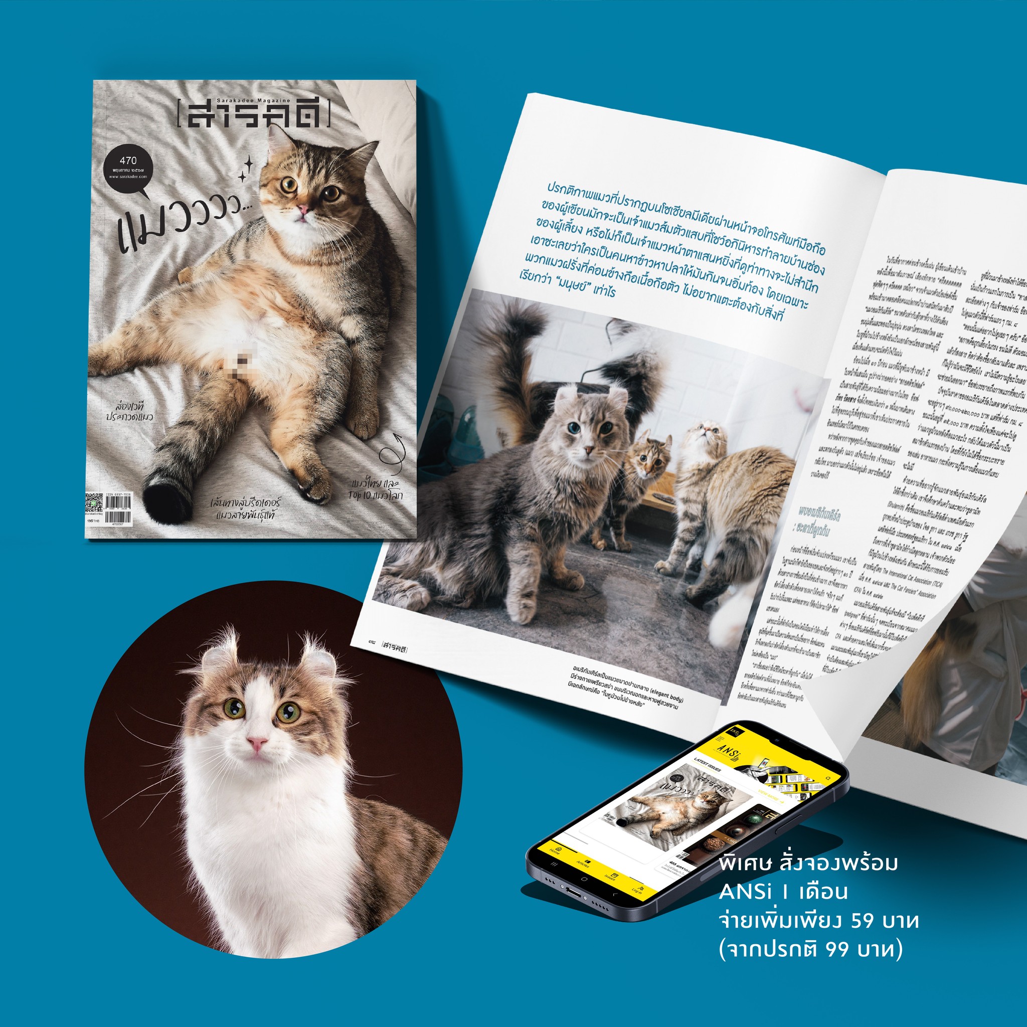 นิตยสารสารคดี ฉบับ 470 พฤษภาคม 2567 แมว🐱