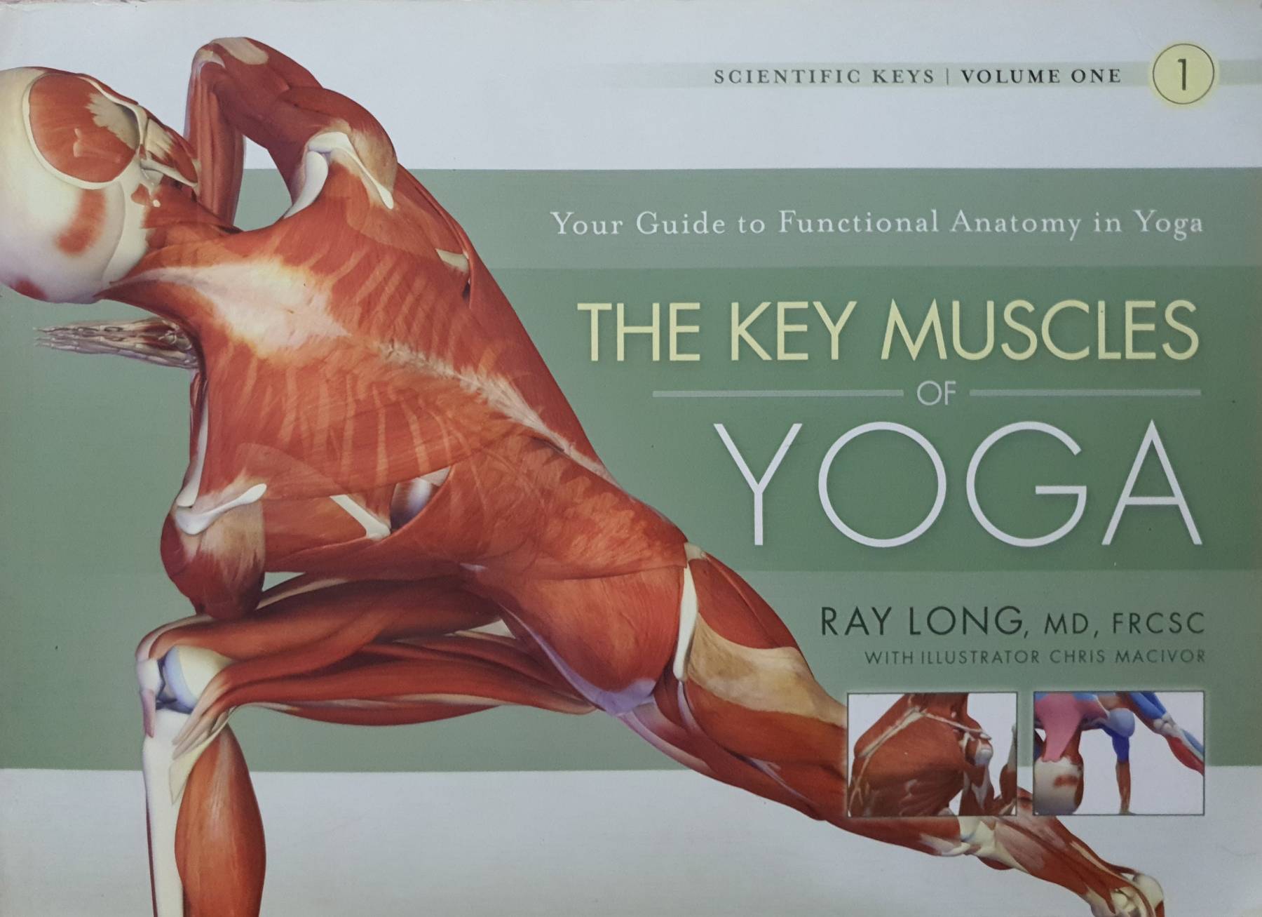 The Key Muscles of Yoga: Scientific Keys, Volume I : Ray Long