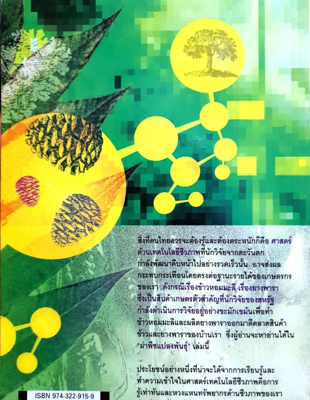 ผ่าพืช แปลงพันธุ์ : พิเชียร คุระทอง