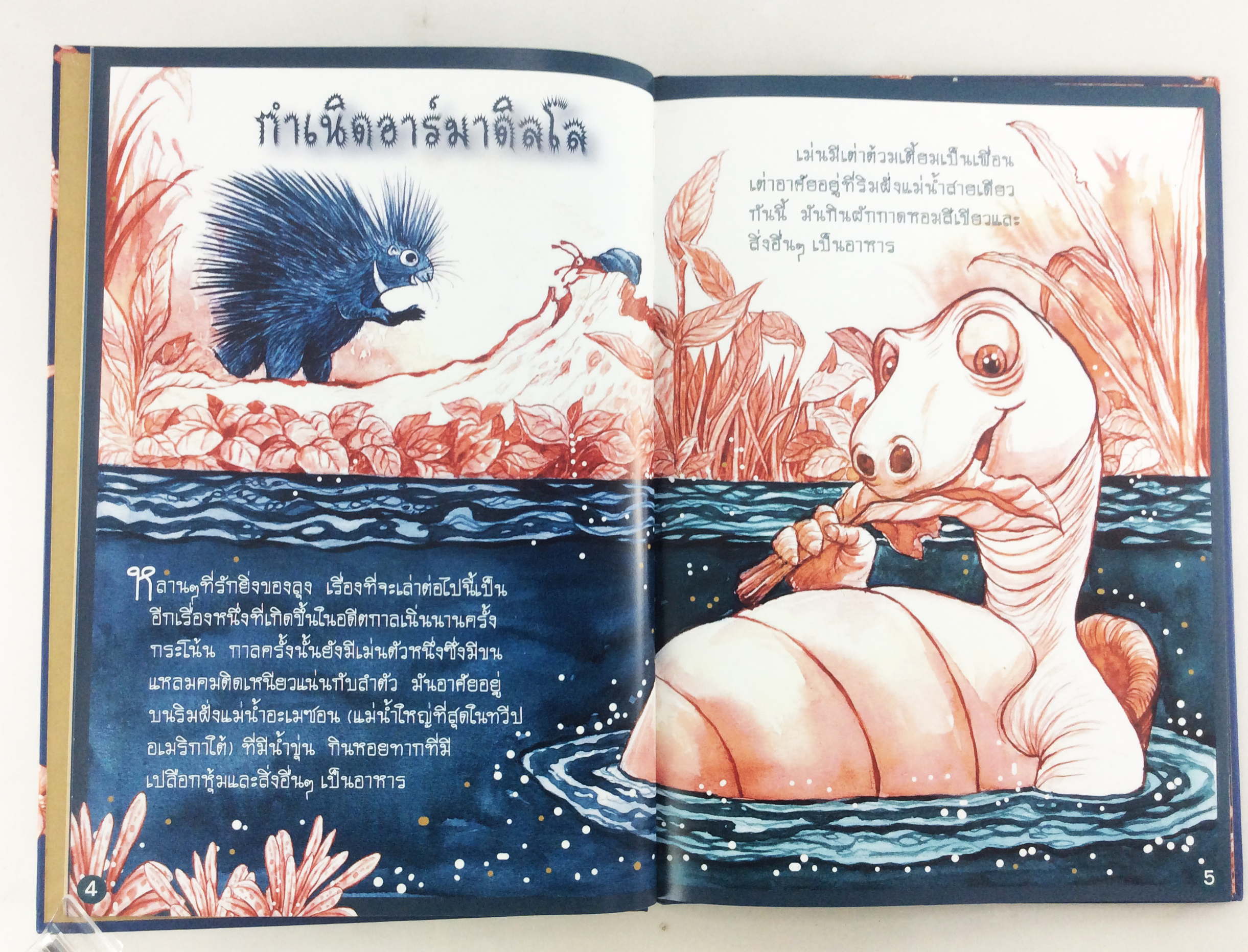 กำเนิดอาร์มาดิลโล วรรณกรรม วรรณกรรมเยาวชน หนังสือหายาก หนังสือสะสม