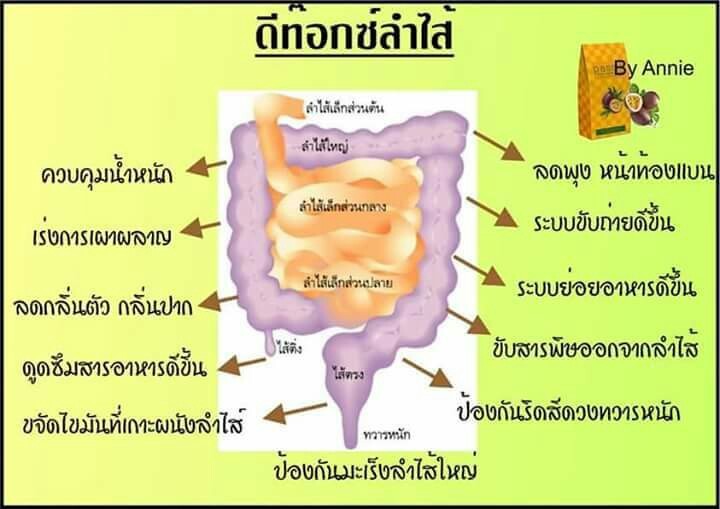 Pacio (พาซิโอ้) ดีท็อกซ์ ล้างลำไส้ ล้างสารพิษในร่างกาย