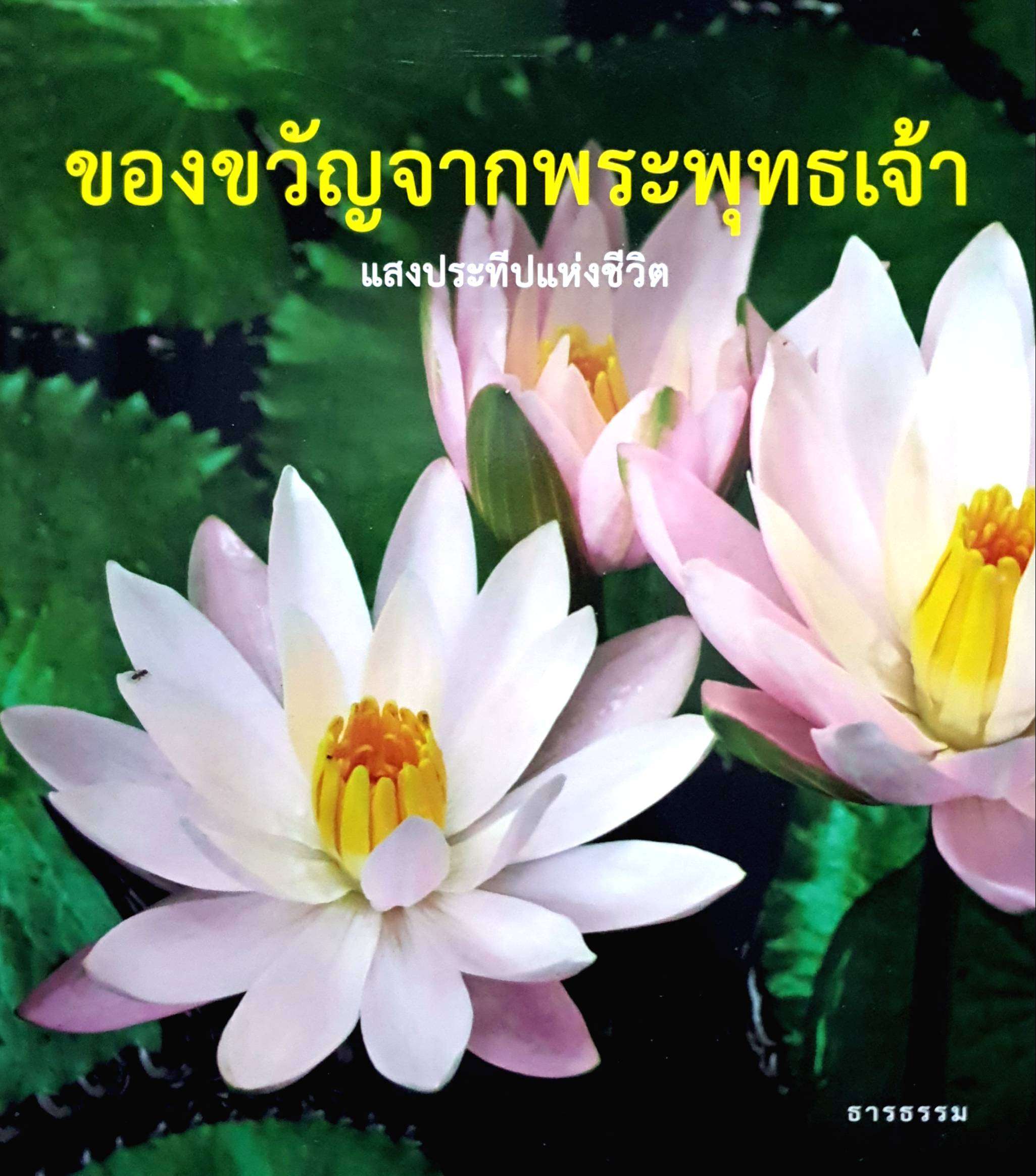 ของขวัญจากพระพุทธเจ้า แสงประทีปแห่งชีวิต