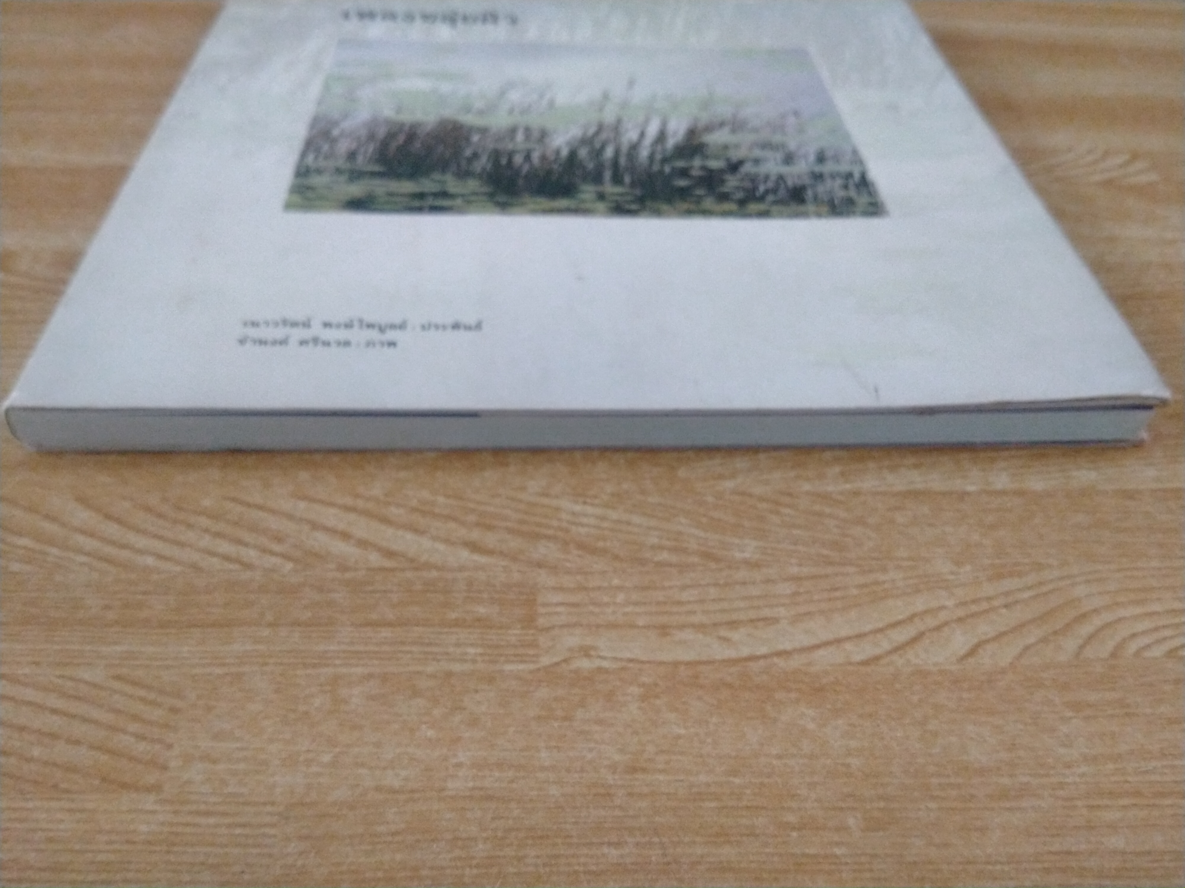 เพลงขลุ่ยผิว