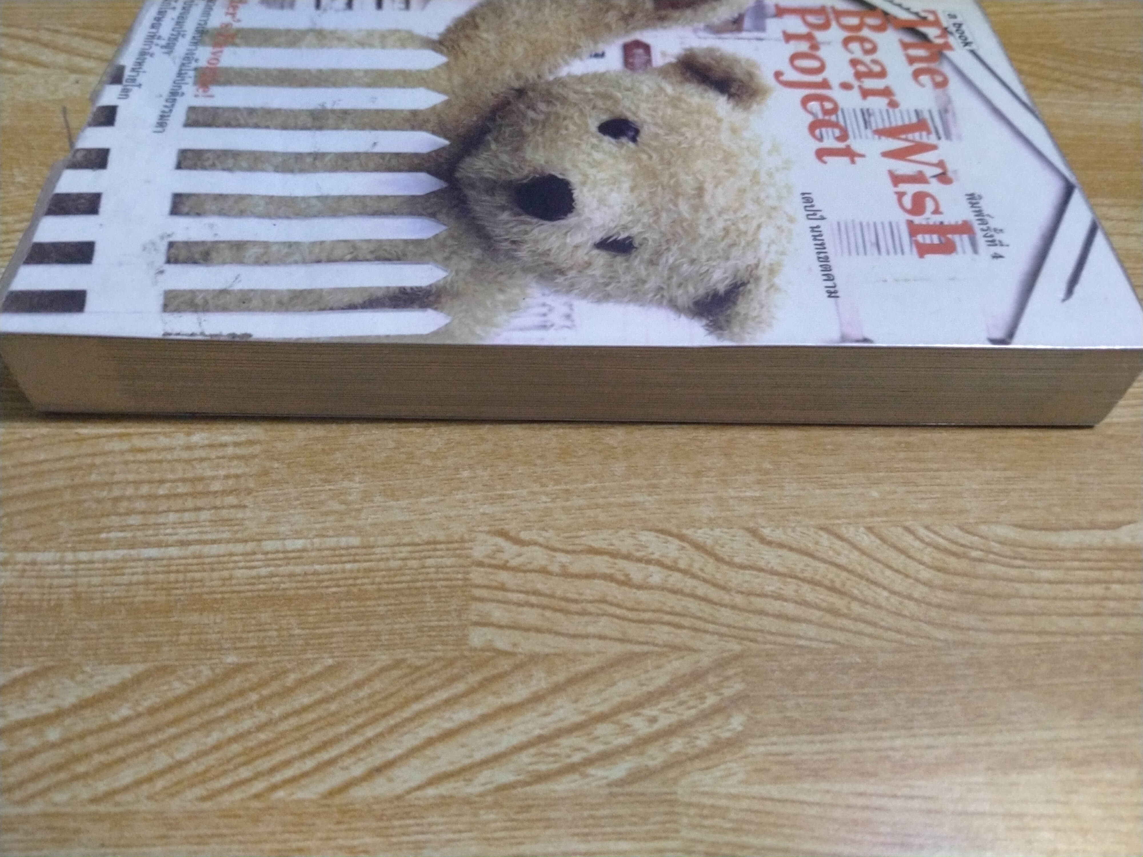 The Bear Wish Project