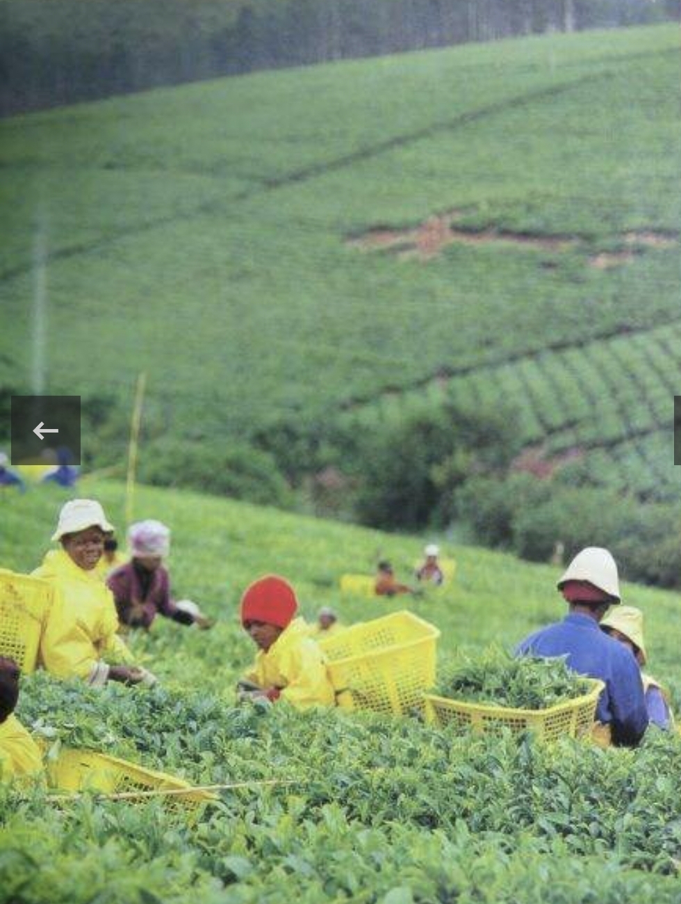 South Africa: The Beautiful Land By David Bristow