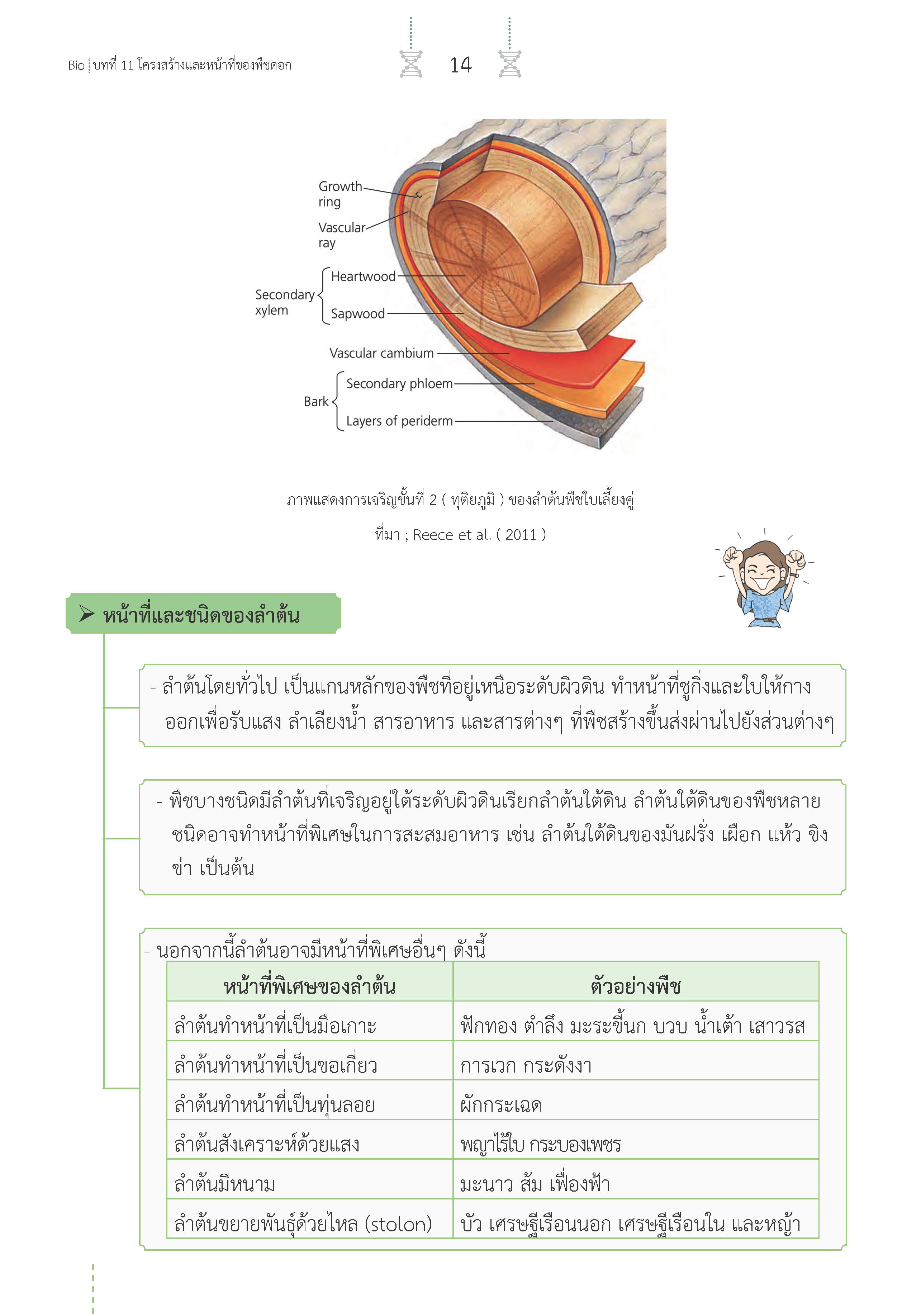 สรุปเข้ม ชีววิทยา เล่ม 2 (พิมพ์ 4 สี)