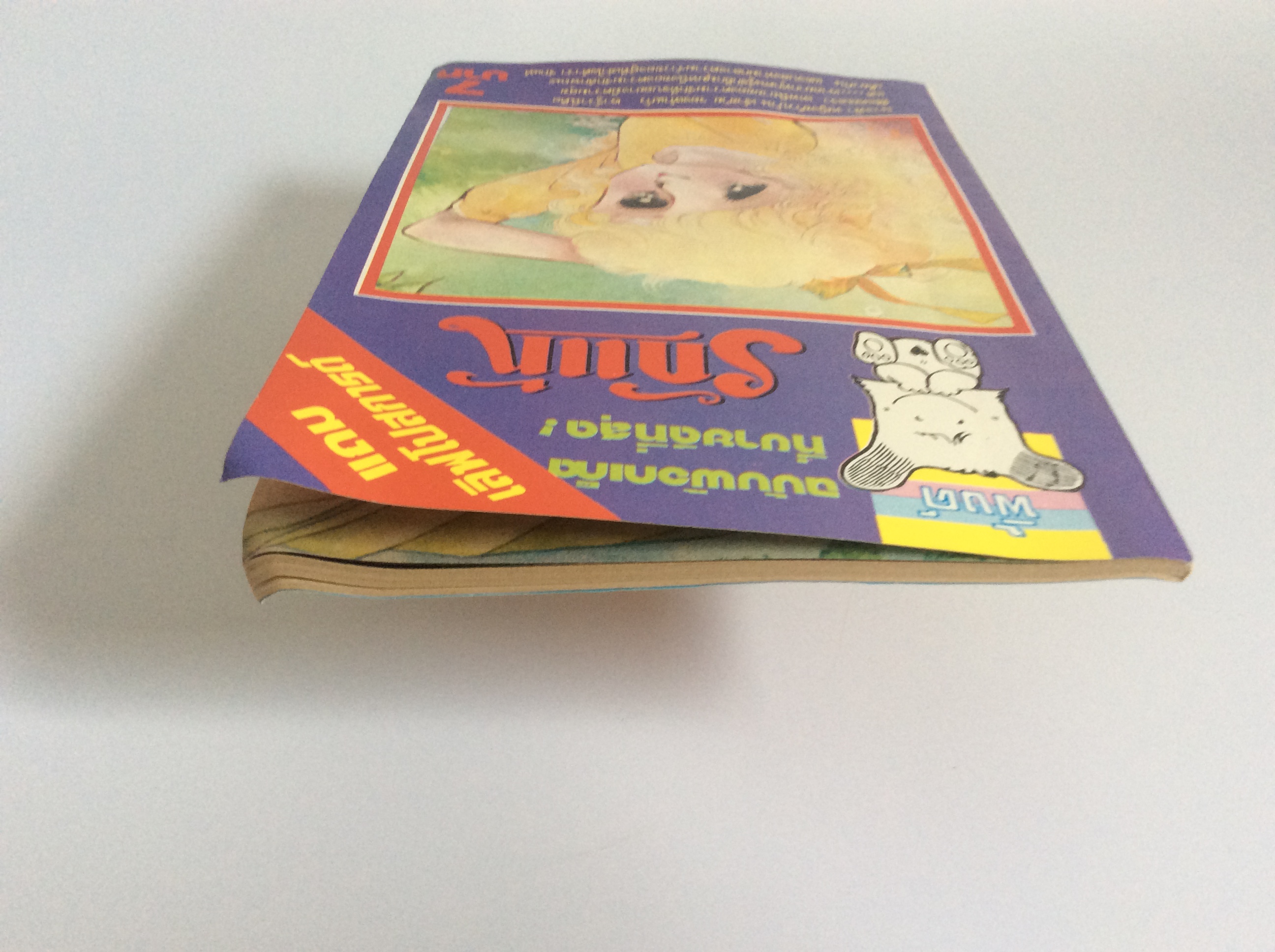 รักแท้ การ์ตูน การ์ตูนหายาก หนังสือสะสม หนังสือเก่า หนังสือ