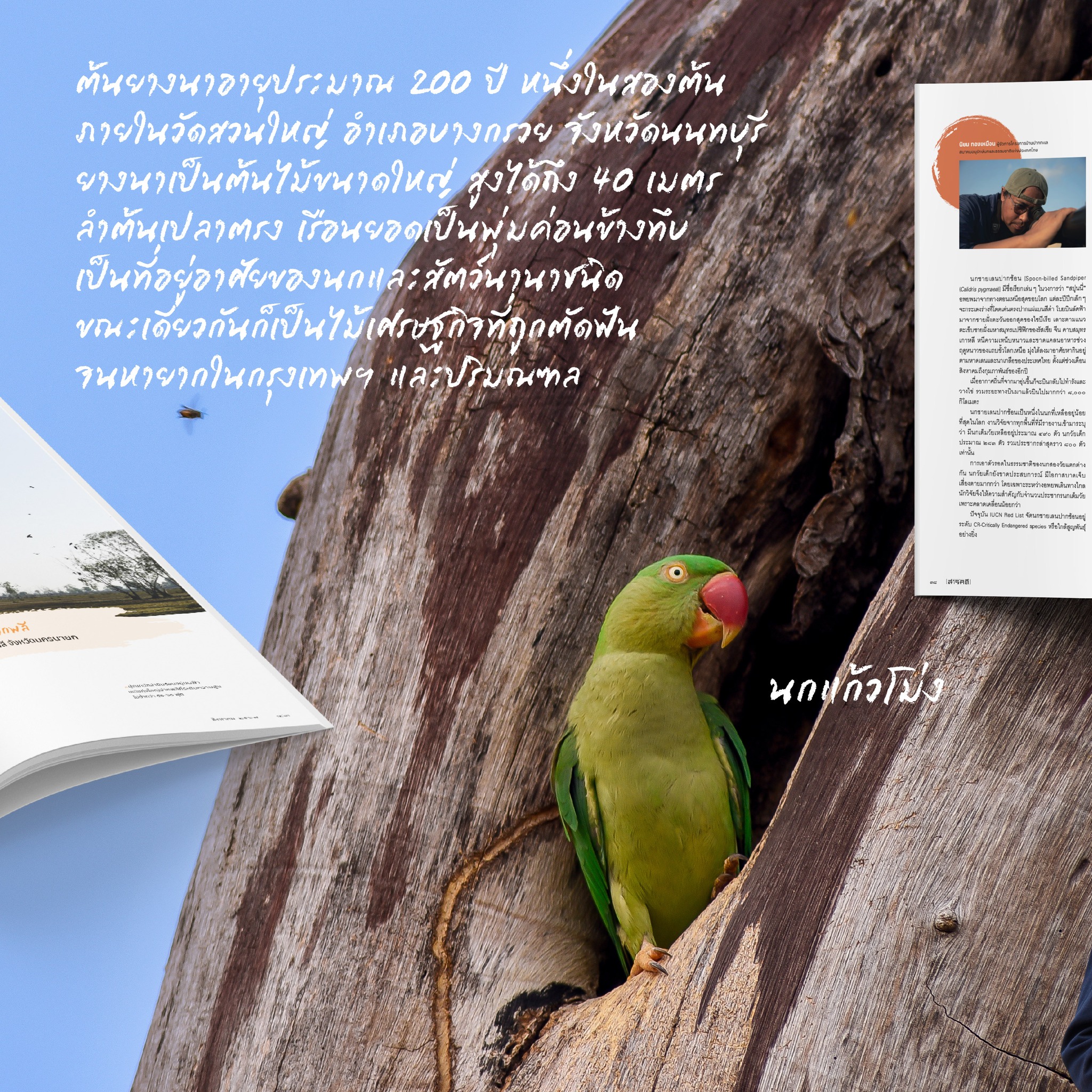 นิตยสารสารคดี ฉบับ 473 รักษ์นกนอกเขตอนุรักษ์